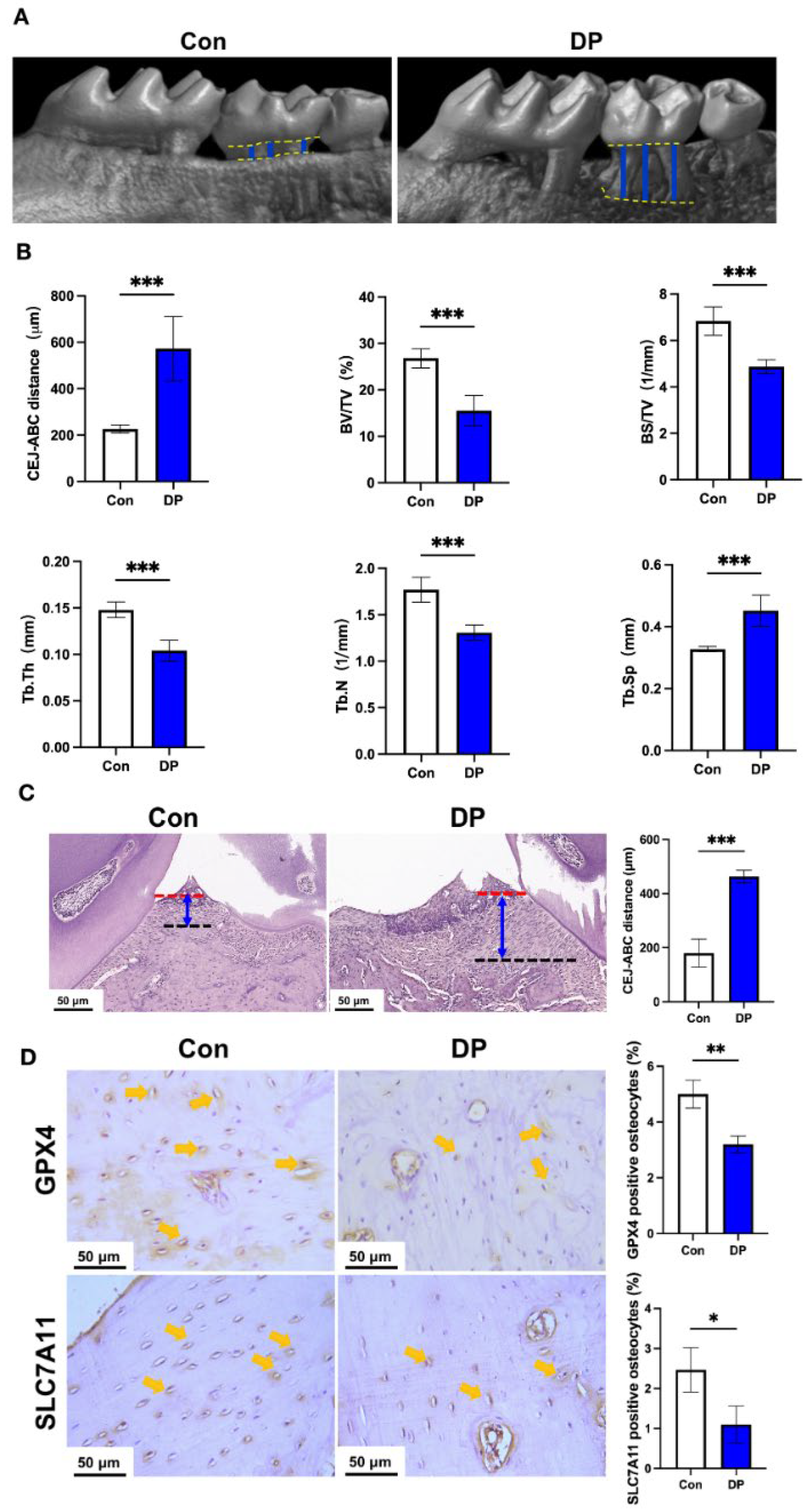 Nutrients 15 02115 g001