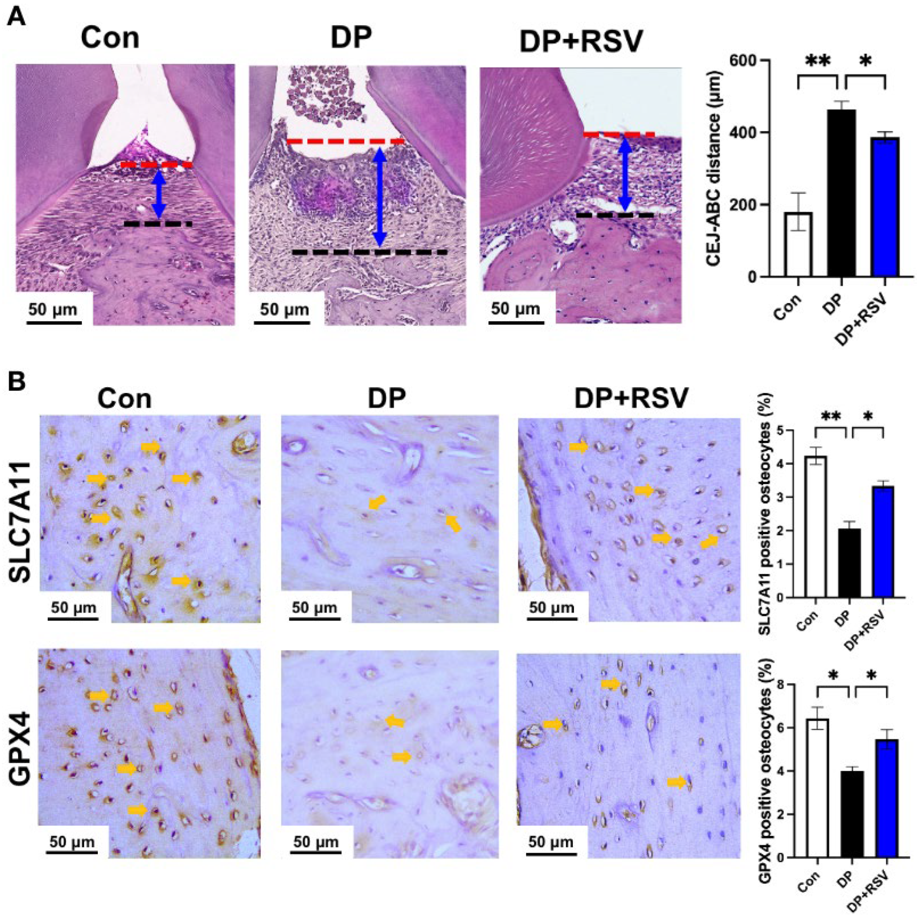 Nutrients 15 02115 g005