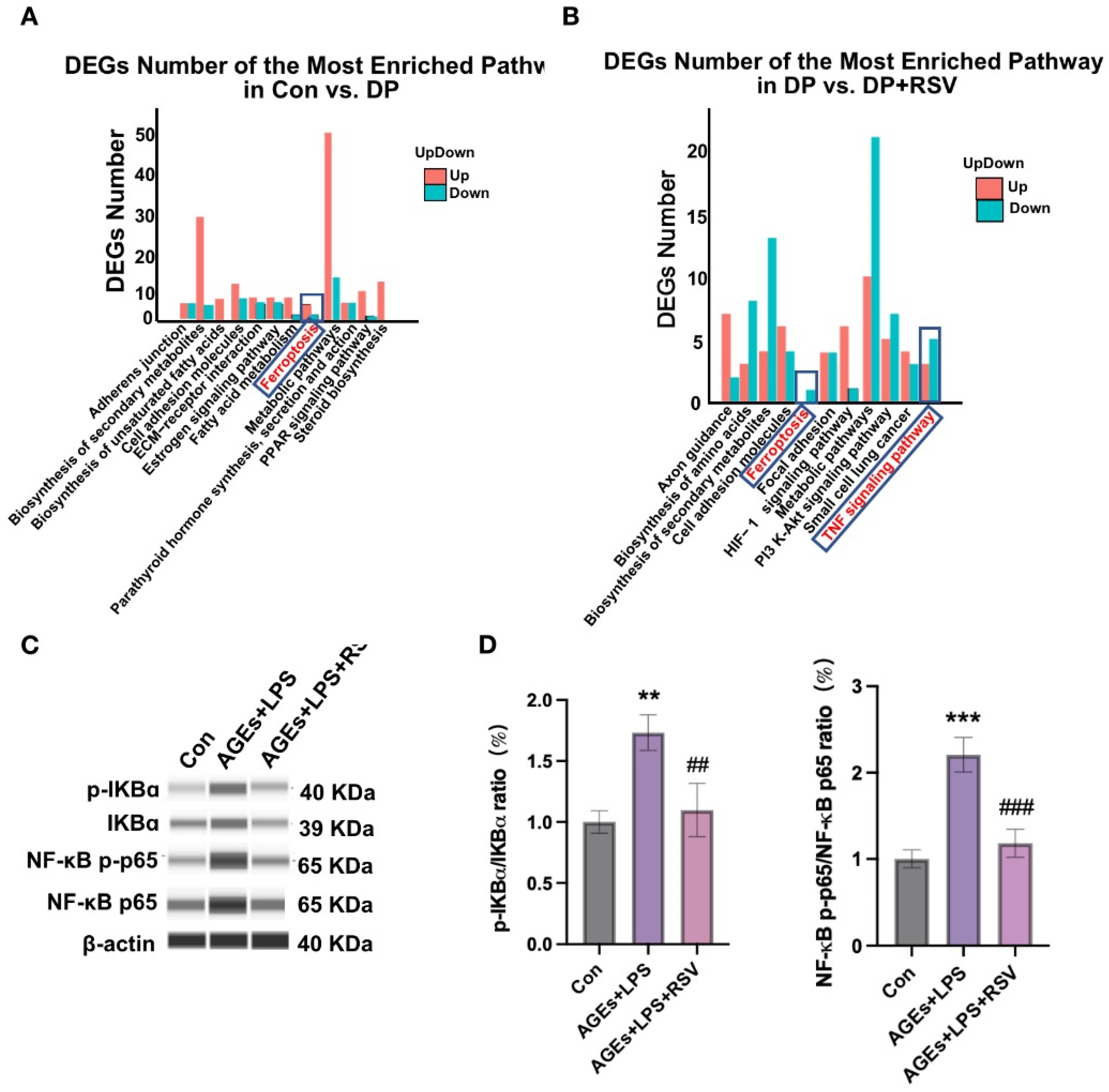 Nutrients 15 02115 g006