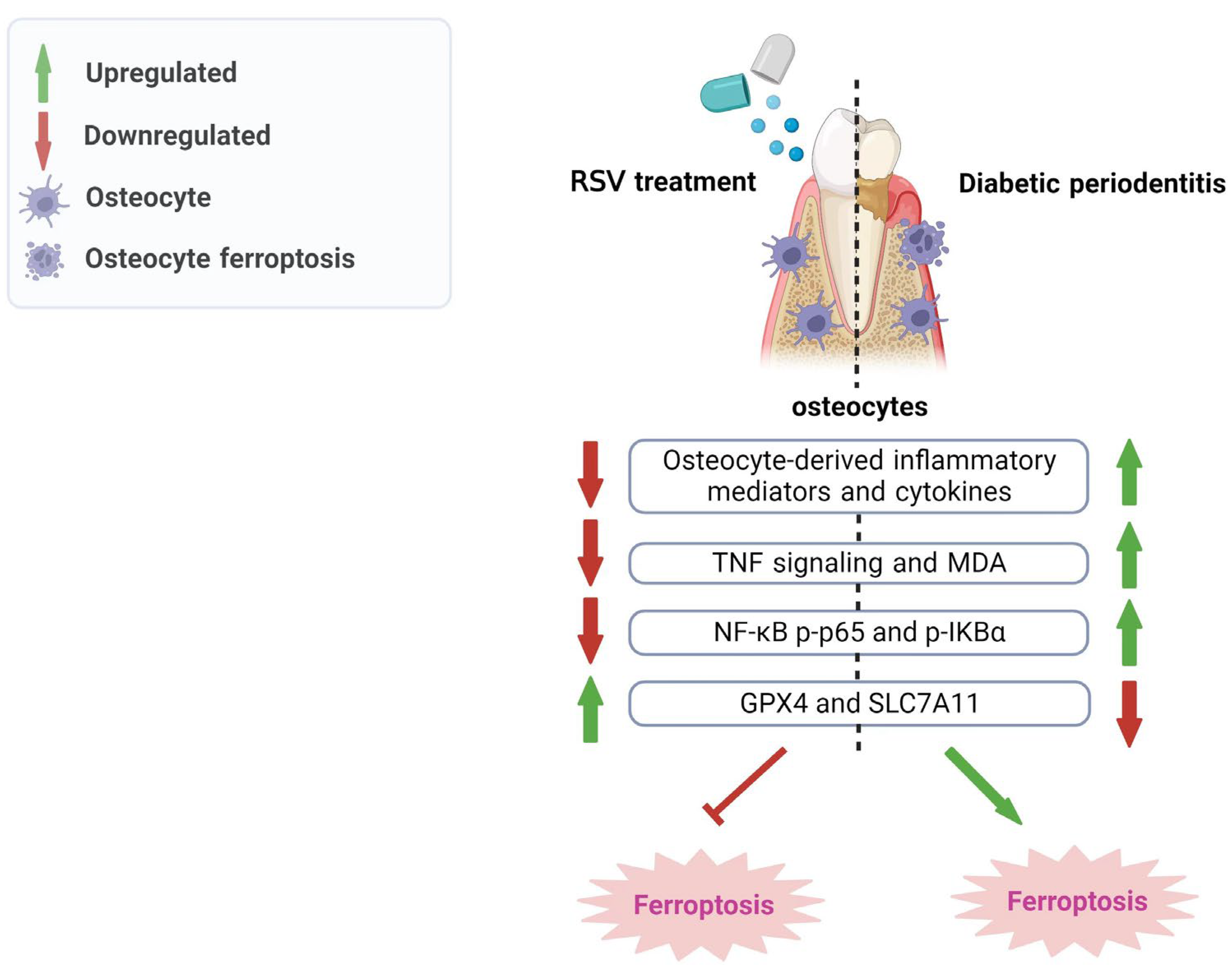 Nutrients 15 02115 g007