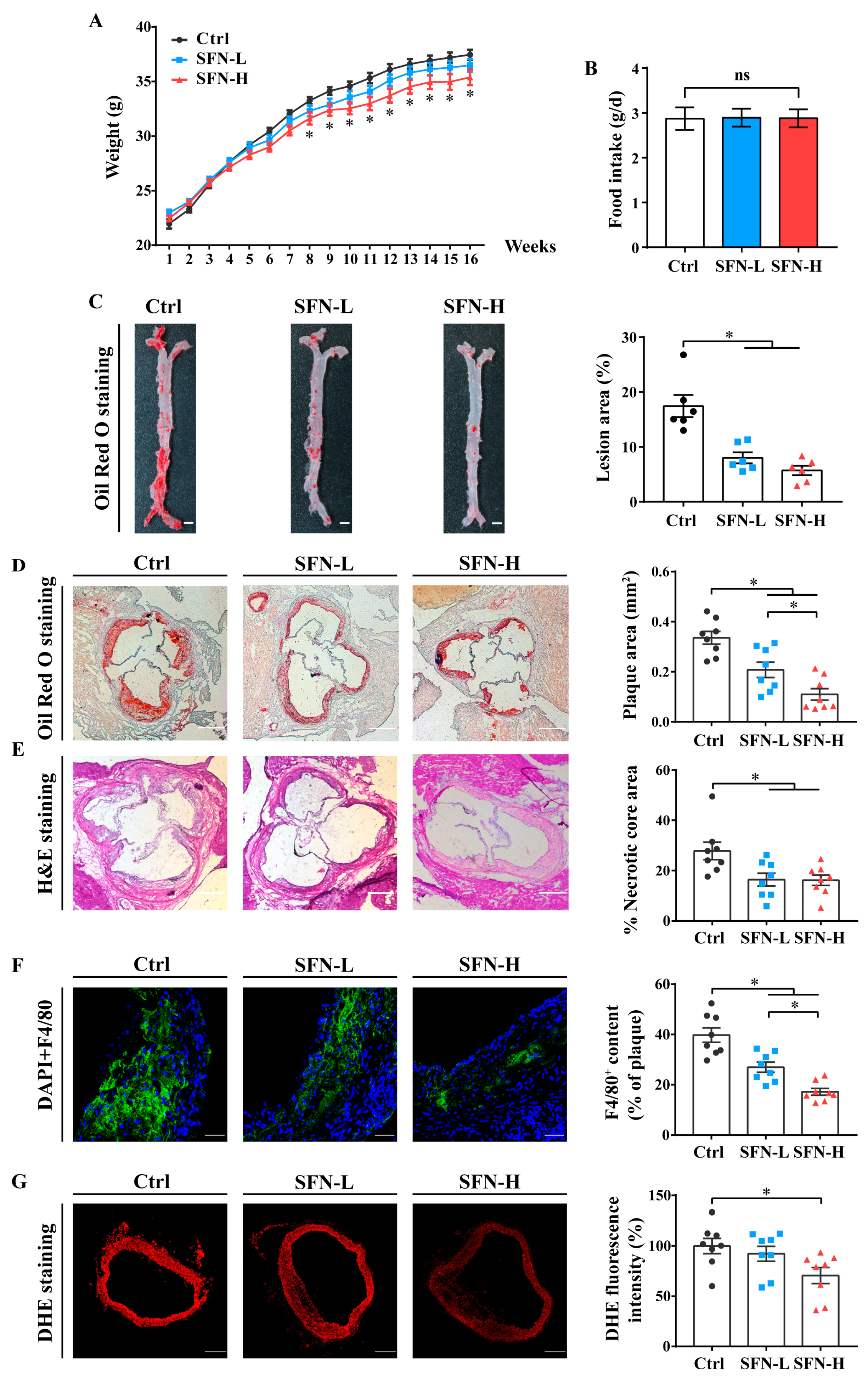 Nutrients 15 02117 g001 Nutrients 15 02117 g001