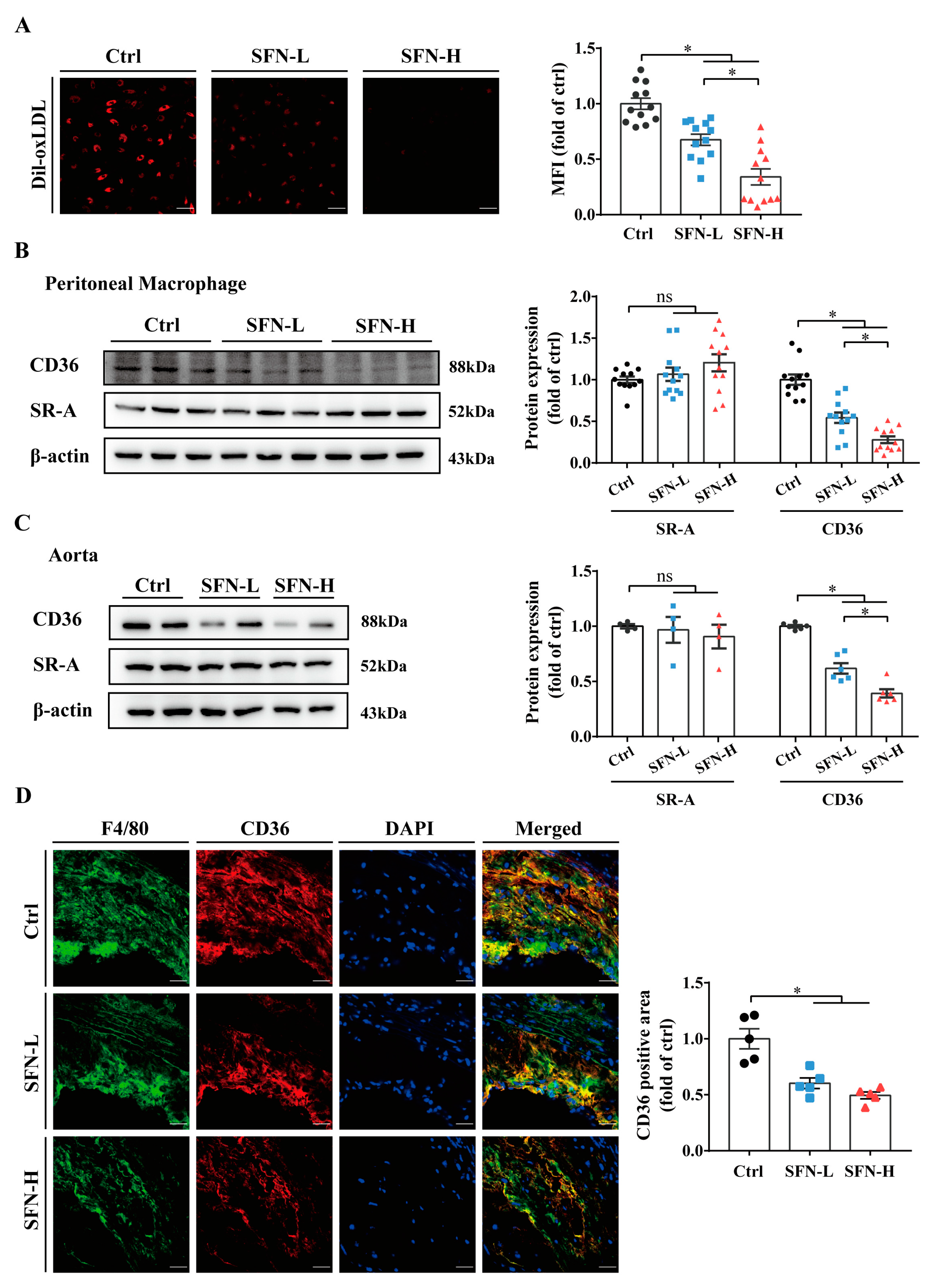 Nutrients 15 02117 g003 Nutrients 15 02117 g003