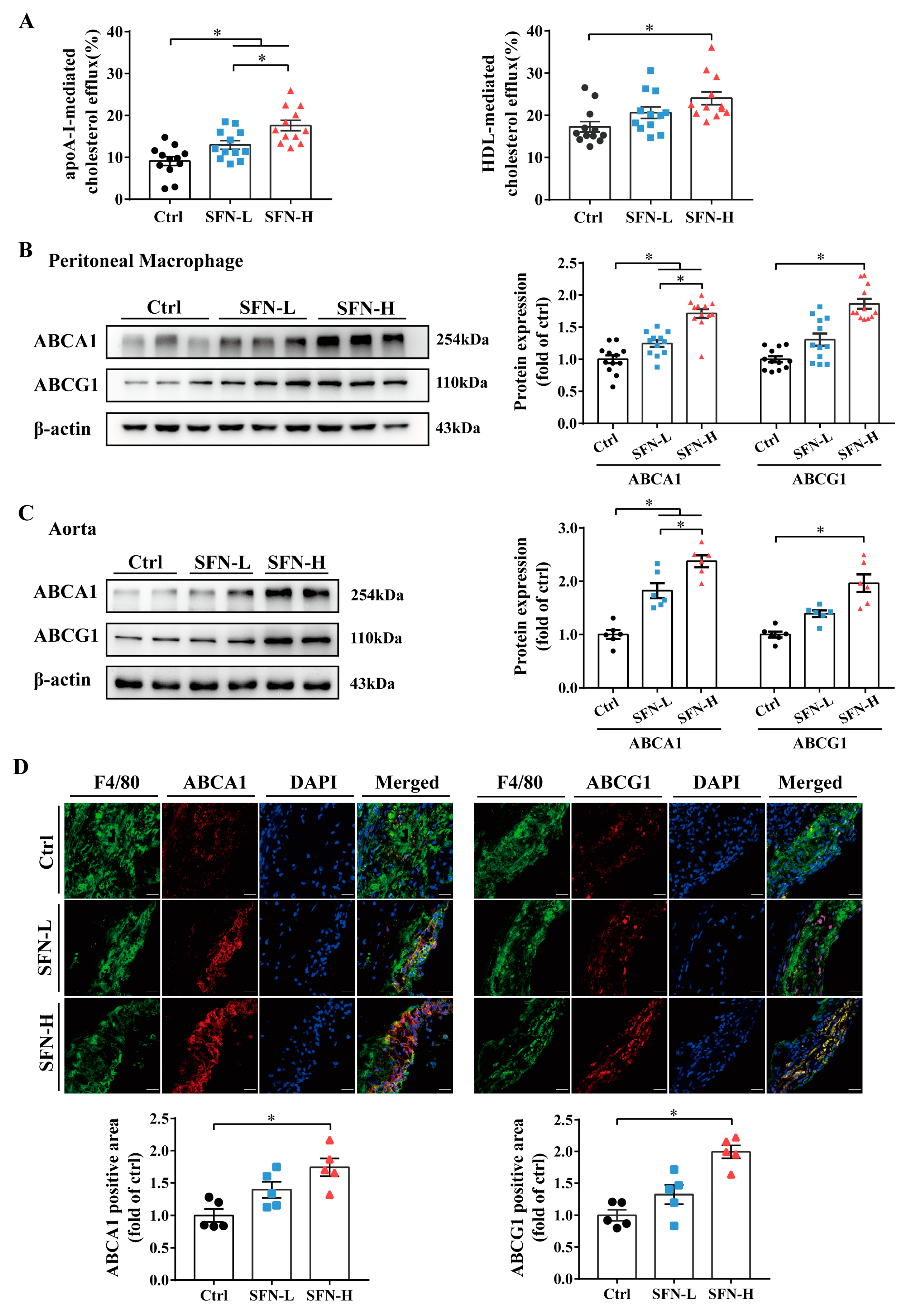 Nutrients 15 02117 g004 Nutrients 15 02117 g004