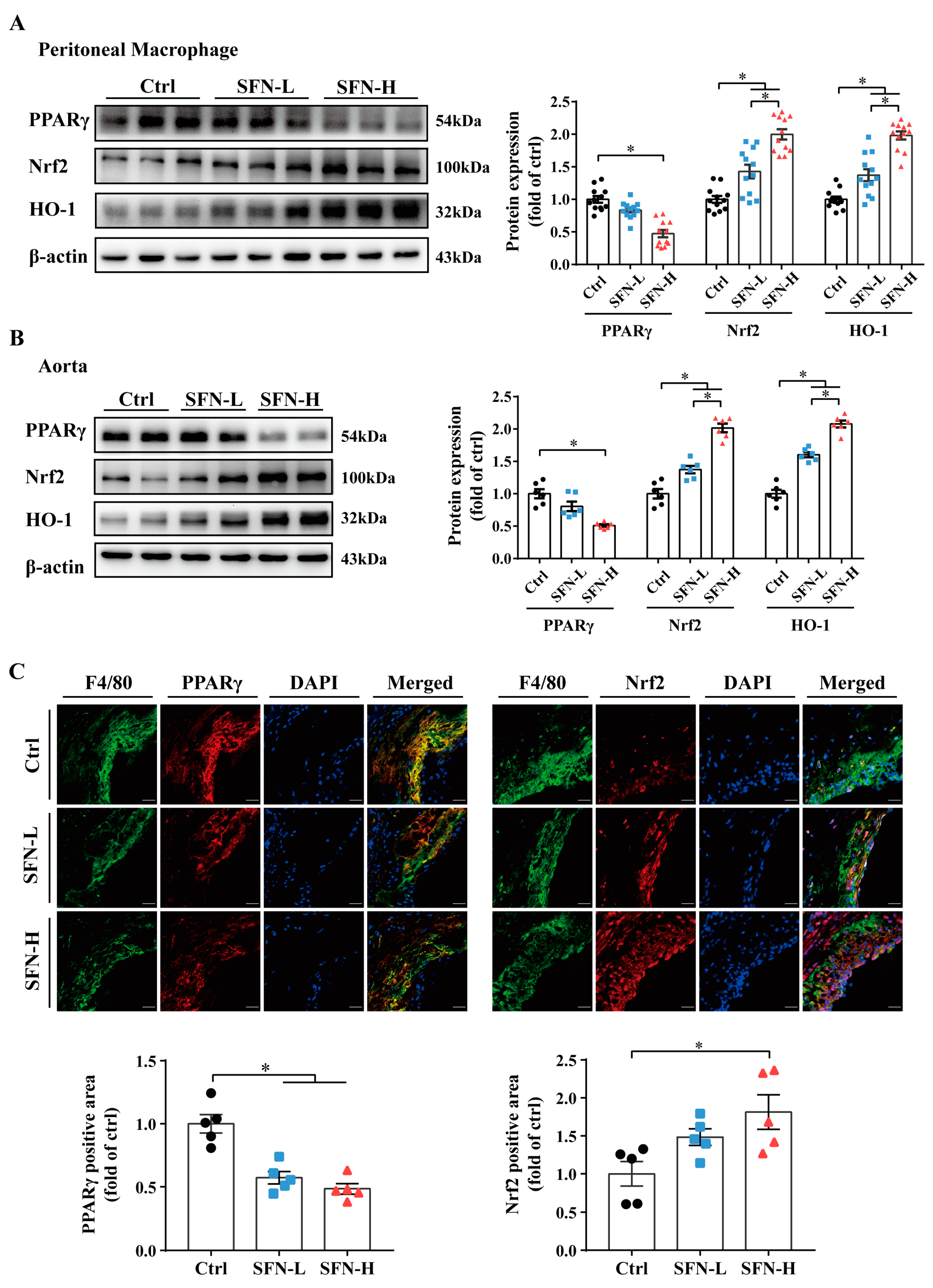 Nutrients 15 02117 g005 Nutrients 15 02117 g005