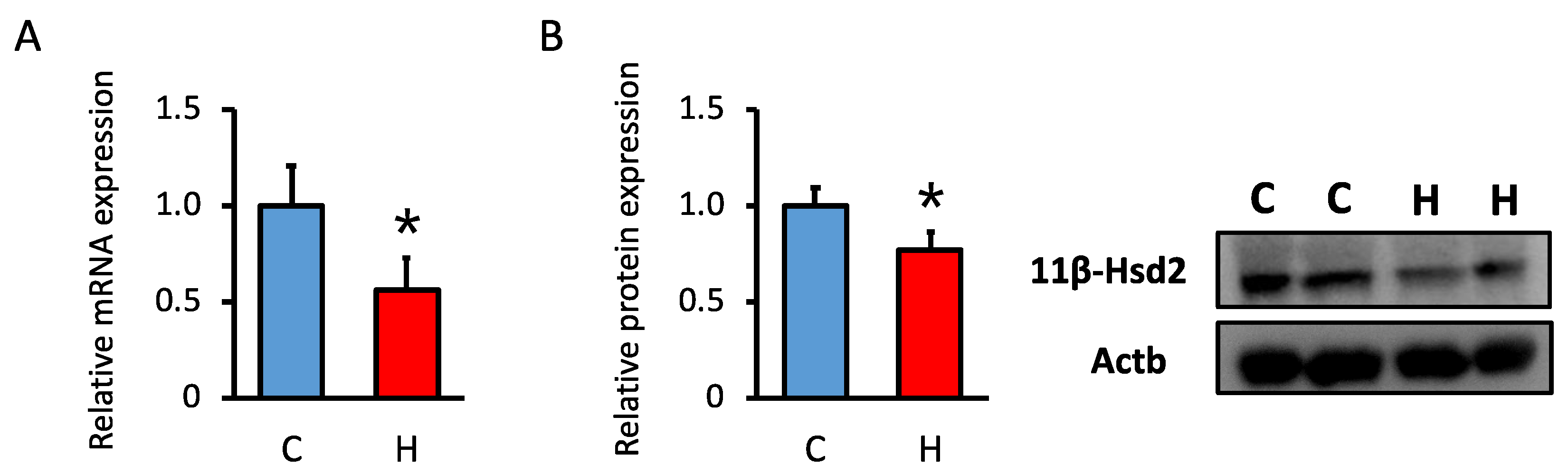 Nutrients 15 02122 g003 Nutrients 15 02122 g003