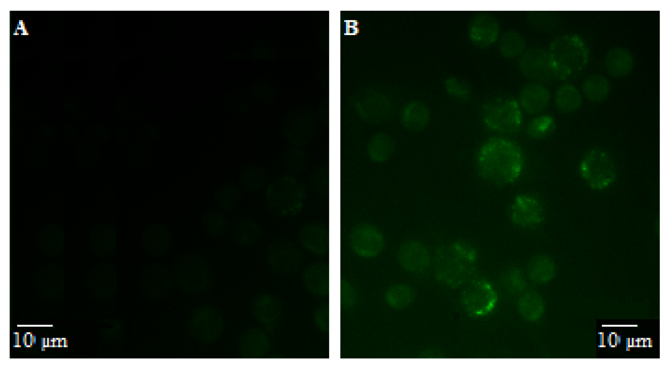 Nutrients 15 02132 g001 Nutrients 15 02132 g001