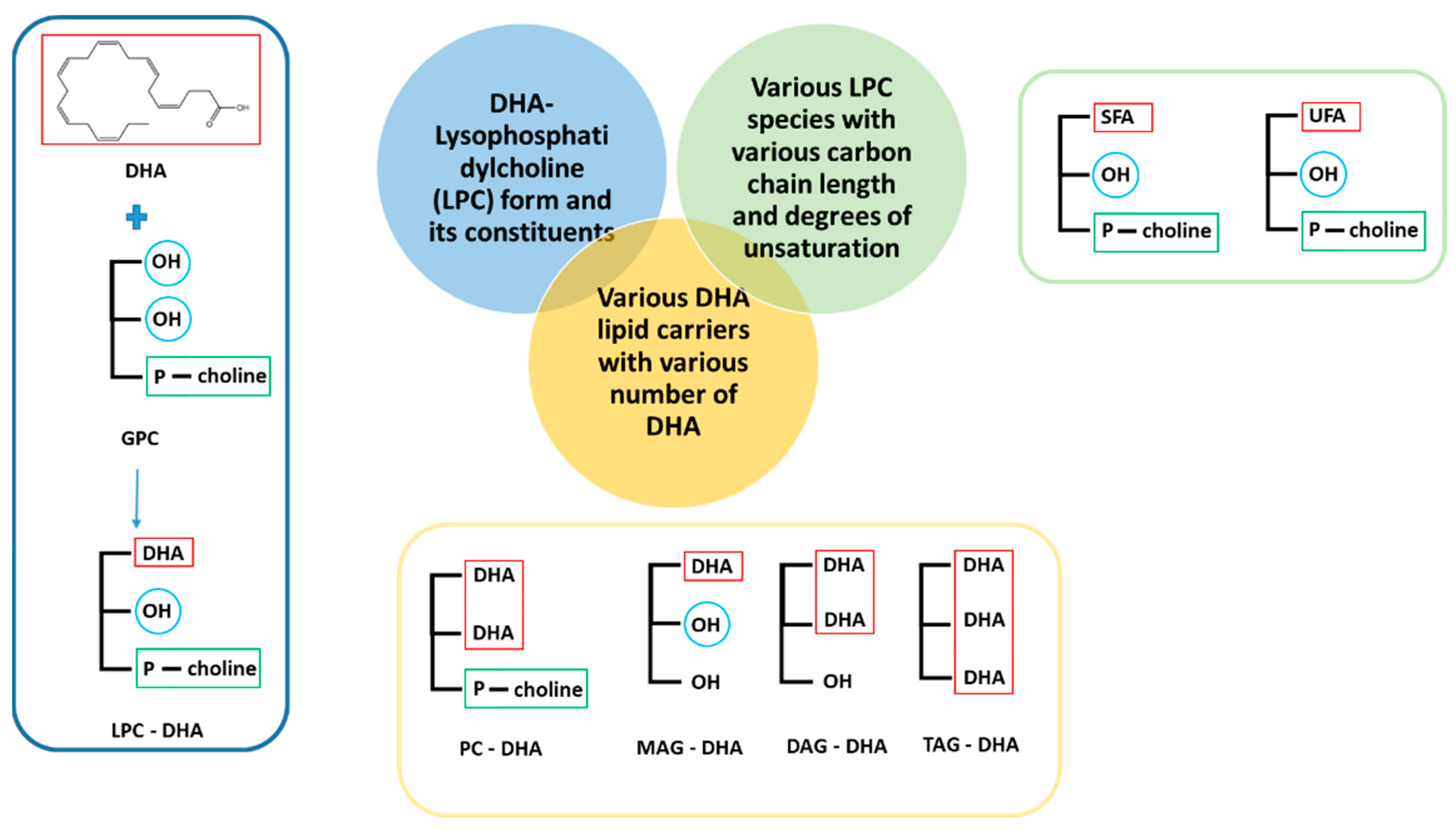 Nutrients 15 02137 g001