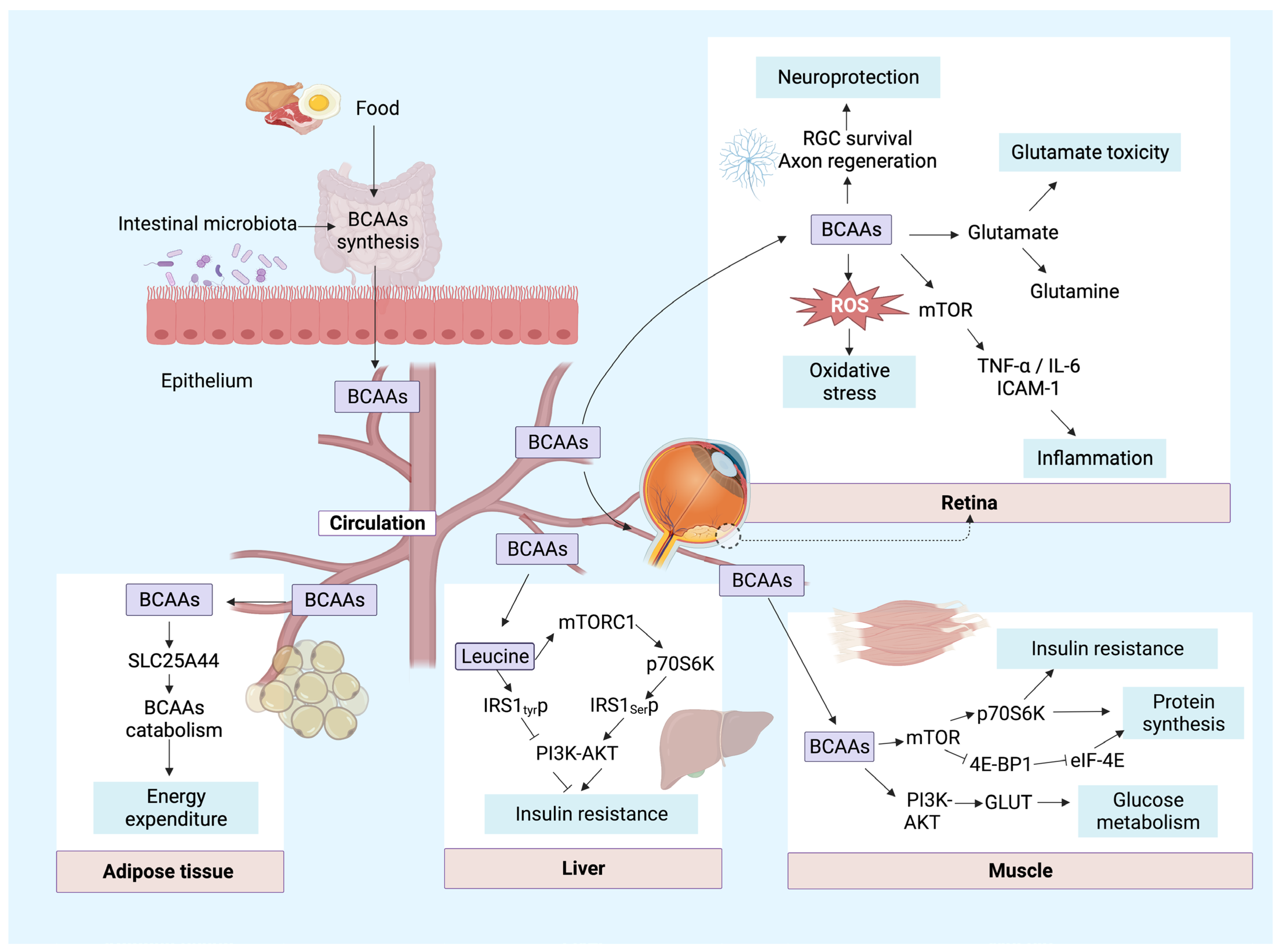 Nutrients 15 02161 g002 Nutrients 15 02161 g002