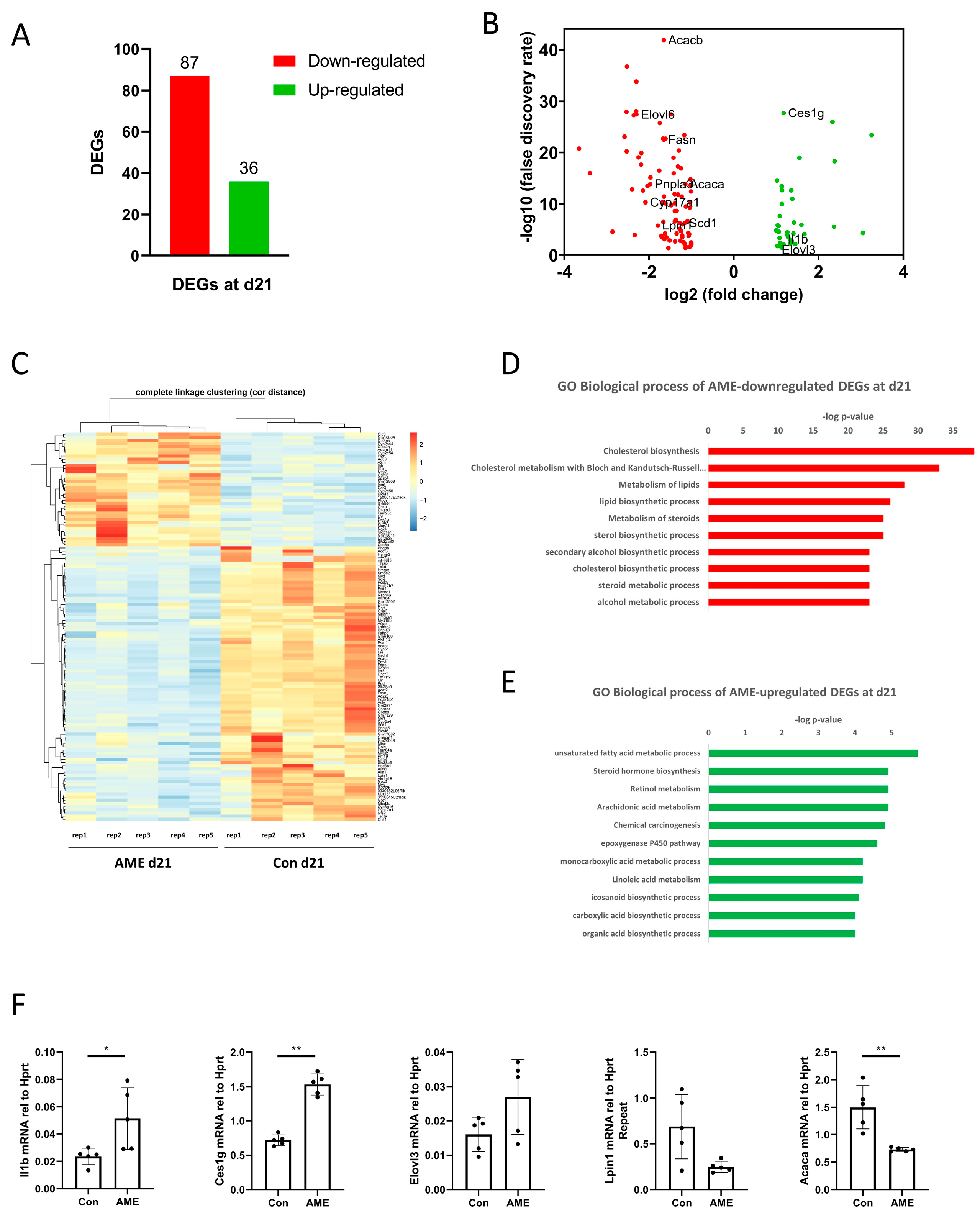 Nutrients 15 02167 g004 Nutrients 15 02167 g004