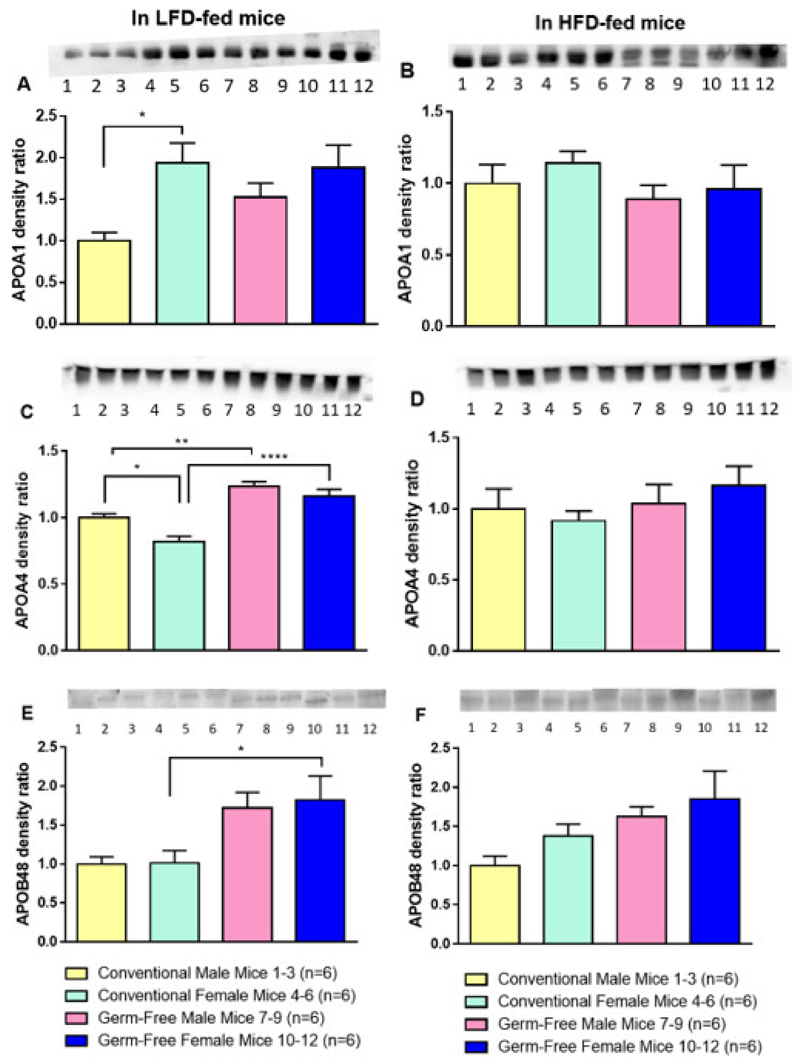 Nutrients 15 02175 g004 Nutrients 15 02175 g004