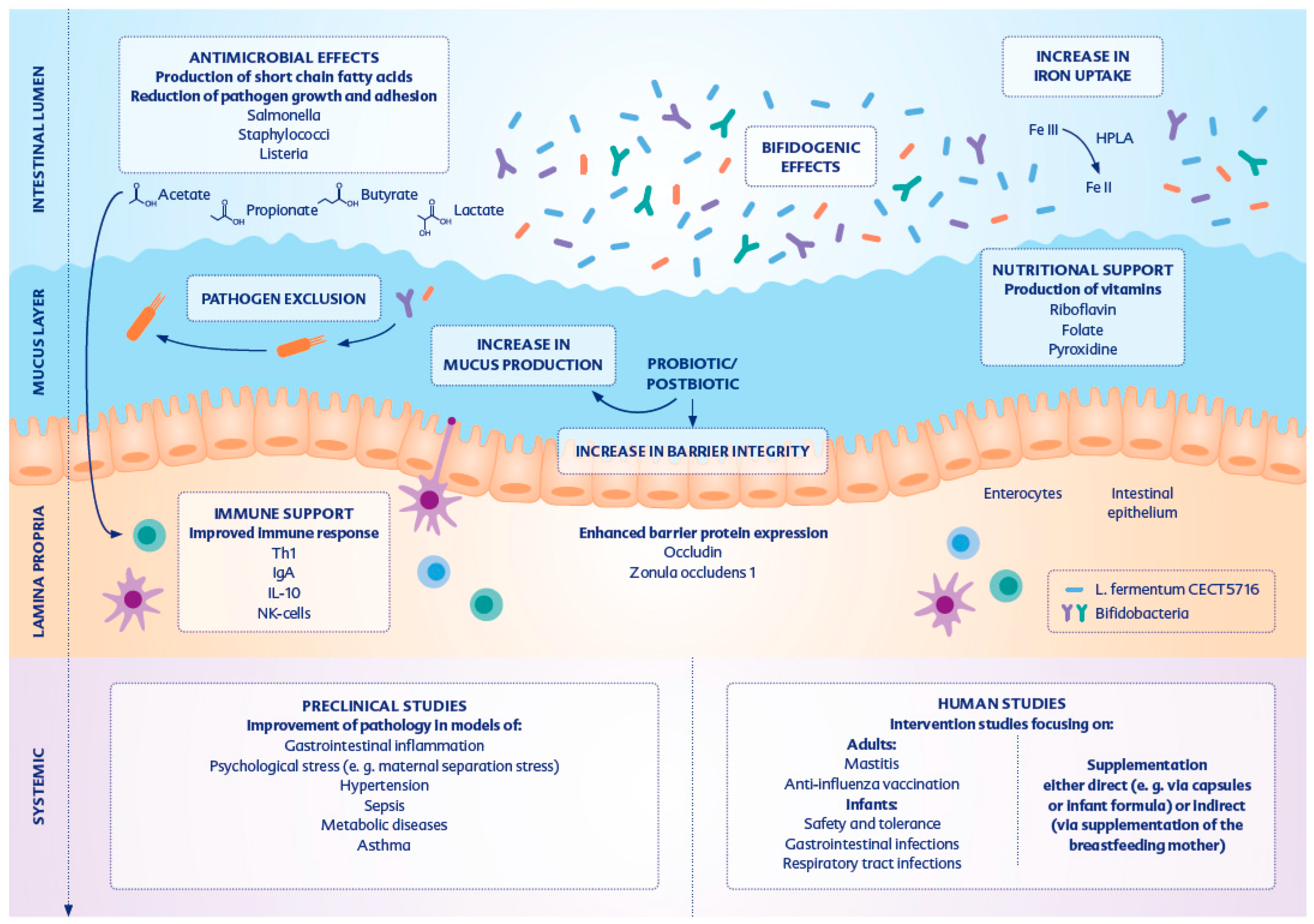 Nutrients 15 02207 g001