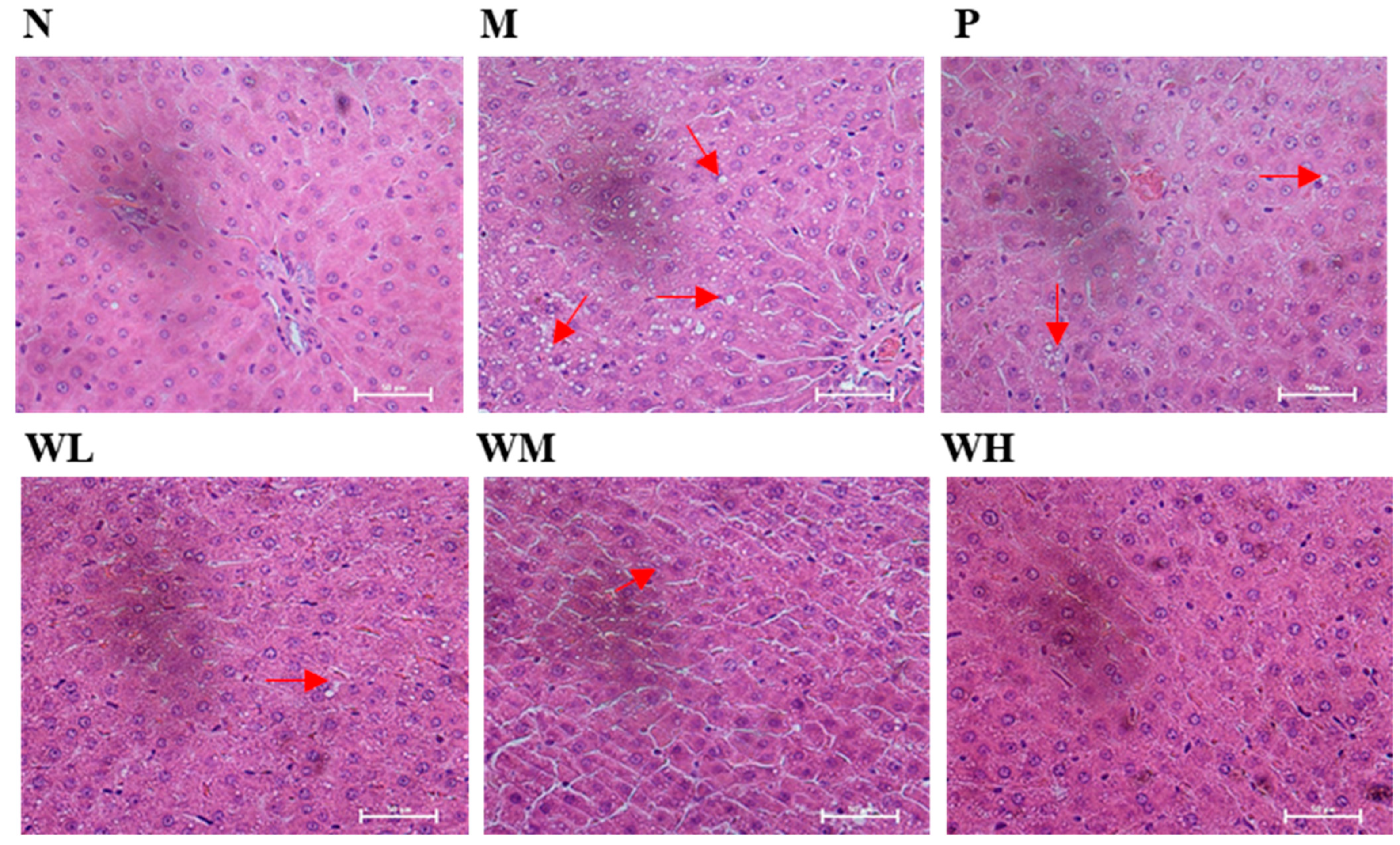Nutrients 15 02210 g003