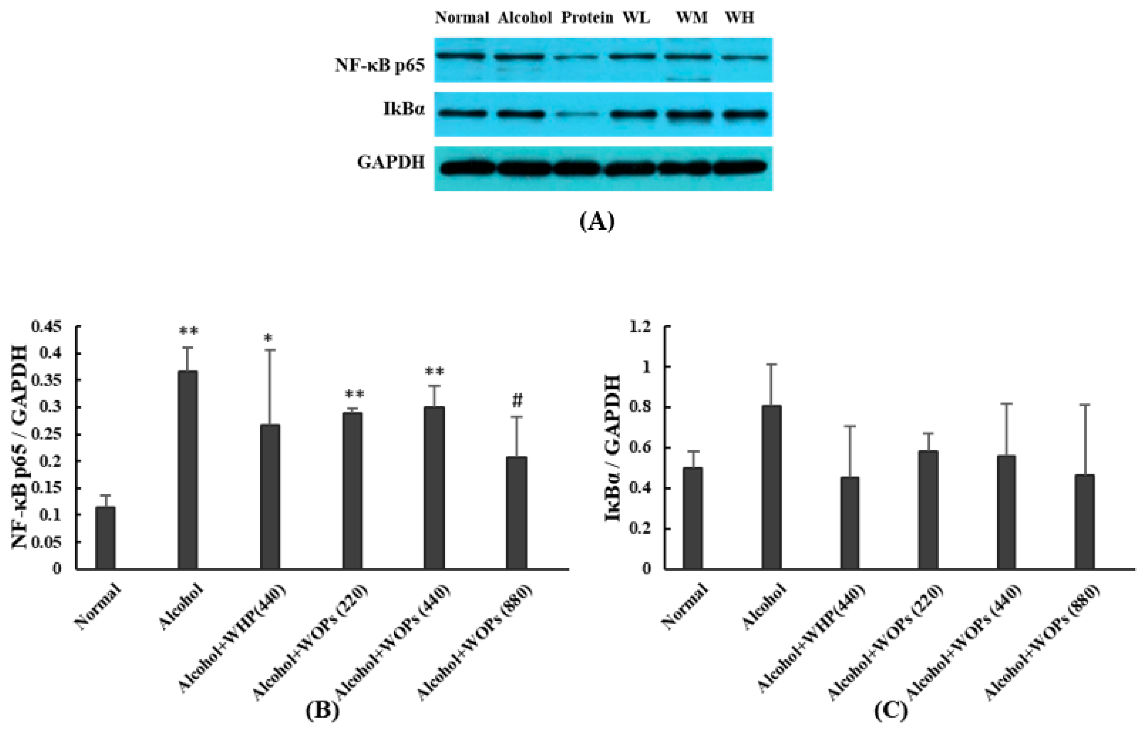 Nutrients 15 02210 g009