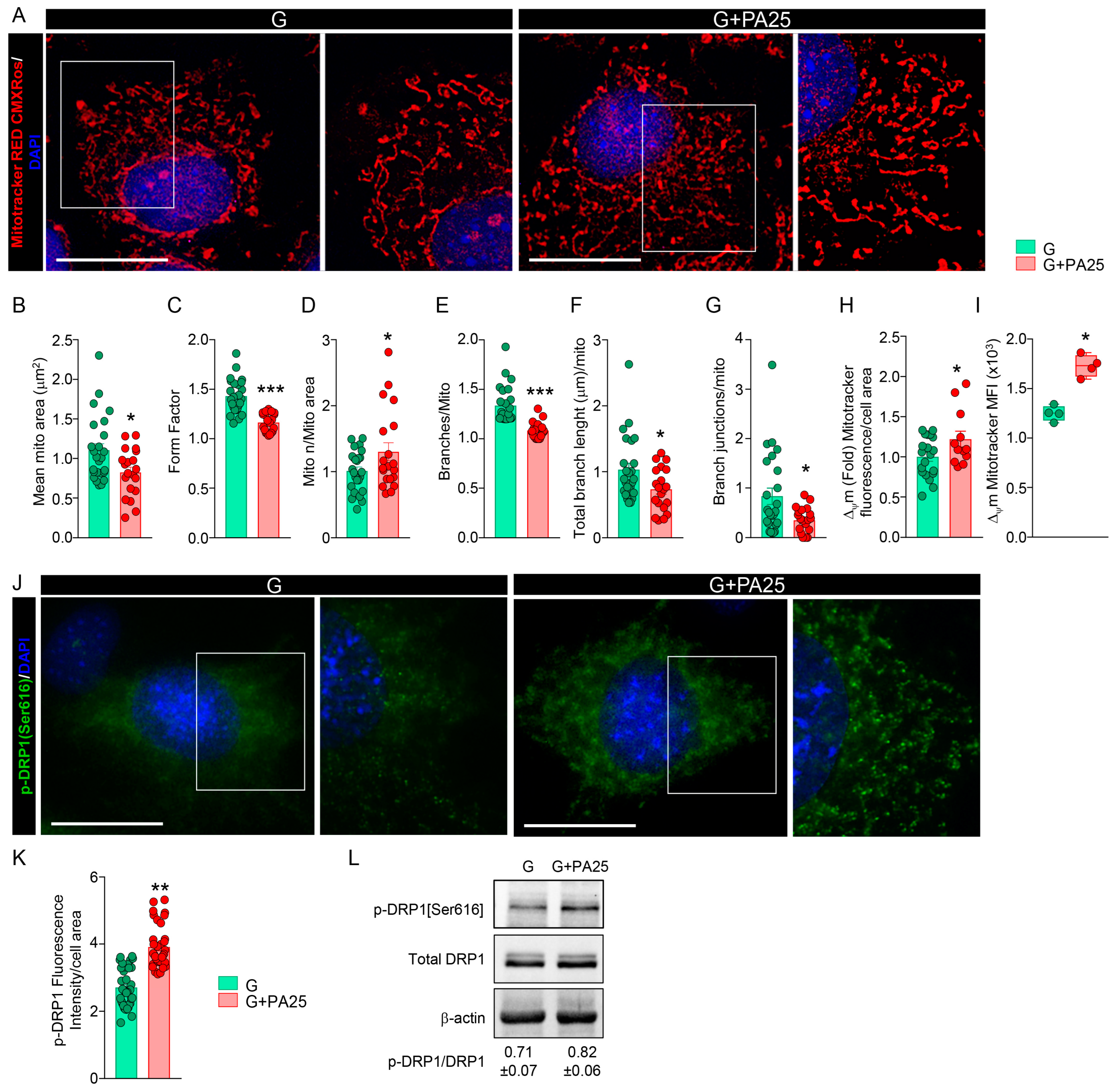 Nutrients 15 02222 g005