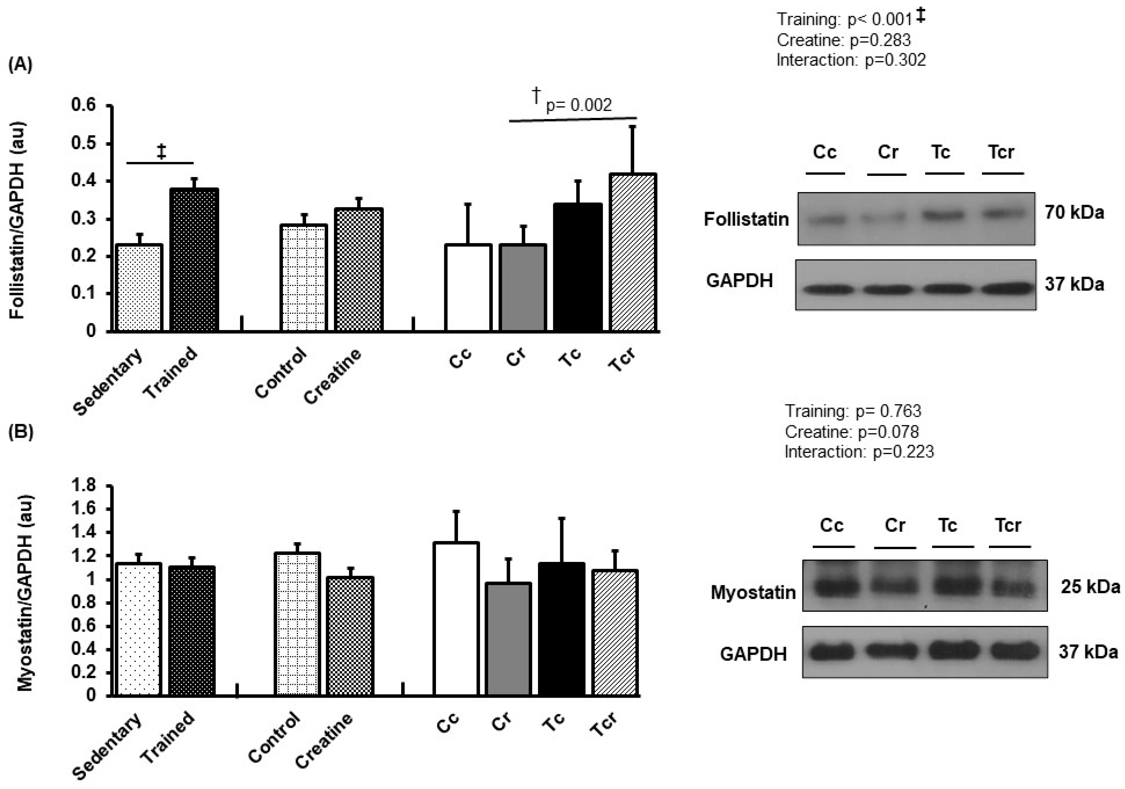 Nutrients 15 02224 g007 Nutrients 15 02224 g007