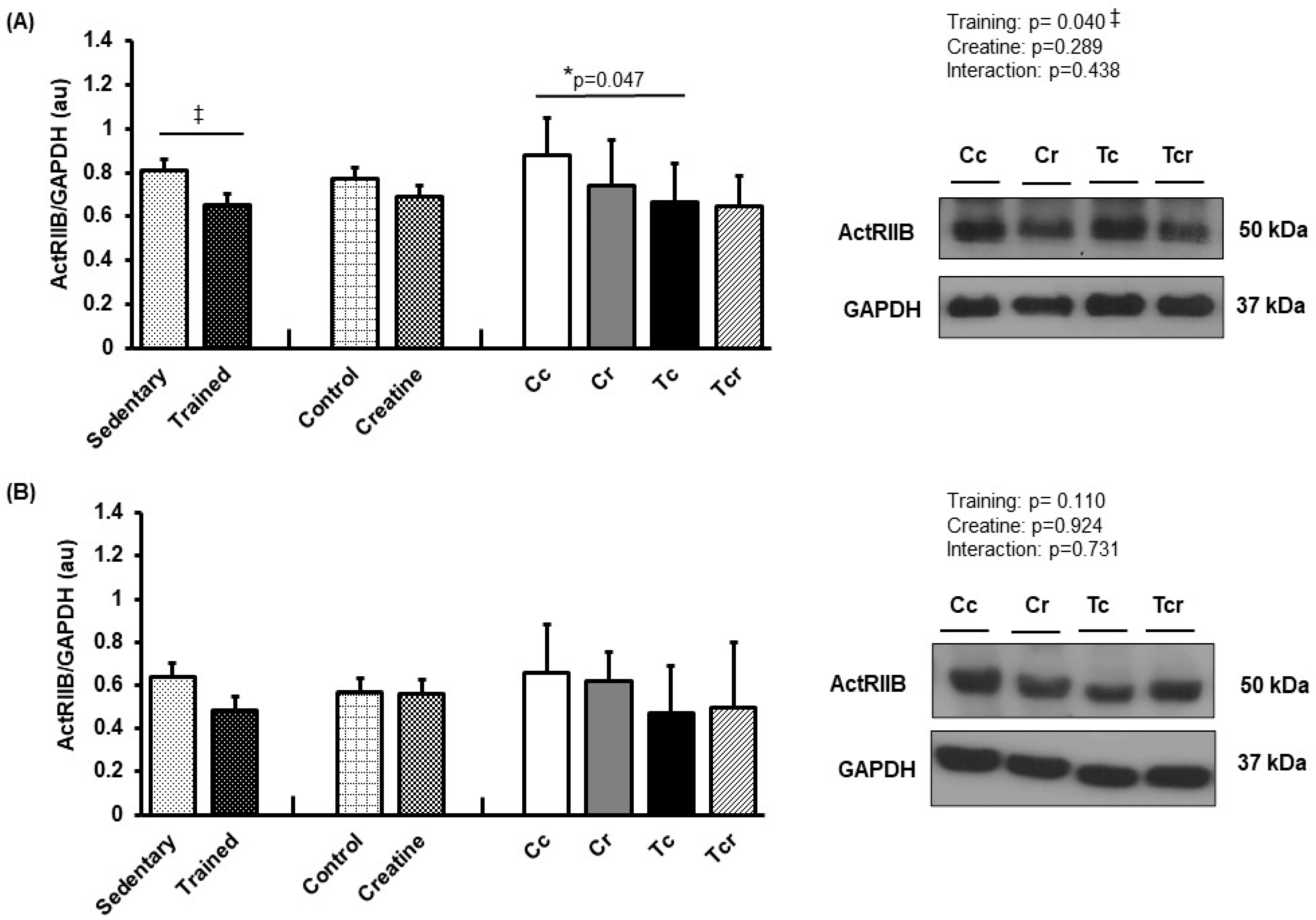 Nutrients 15 02224 g008 Nutrients 15 02224 g008