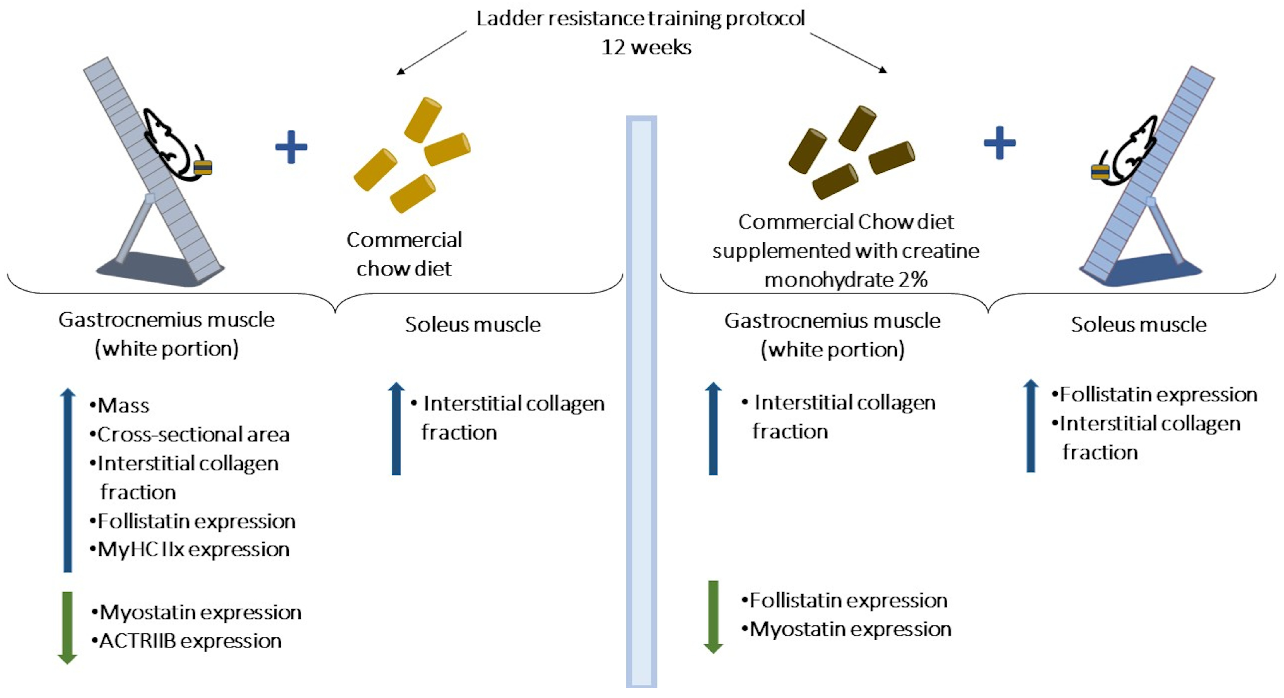 Nutrients 15 02224 g009 Nutrients 15 02224 g009
