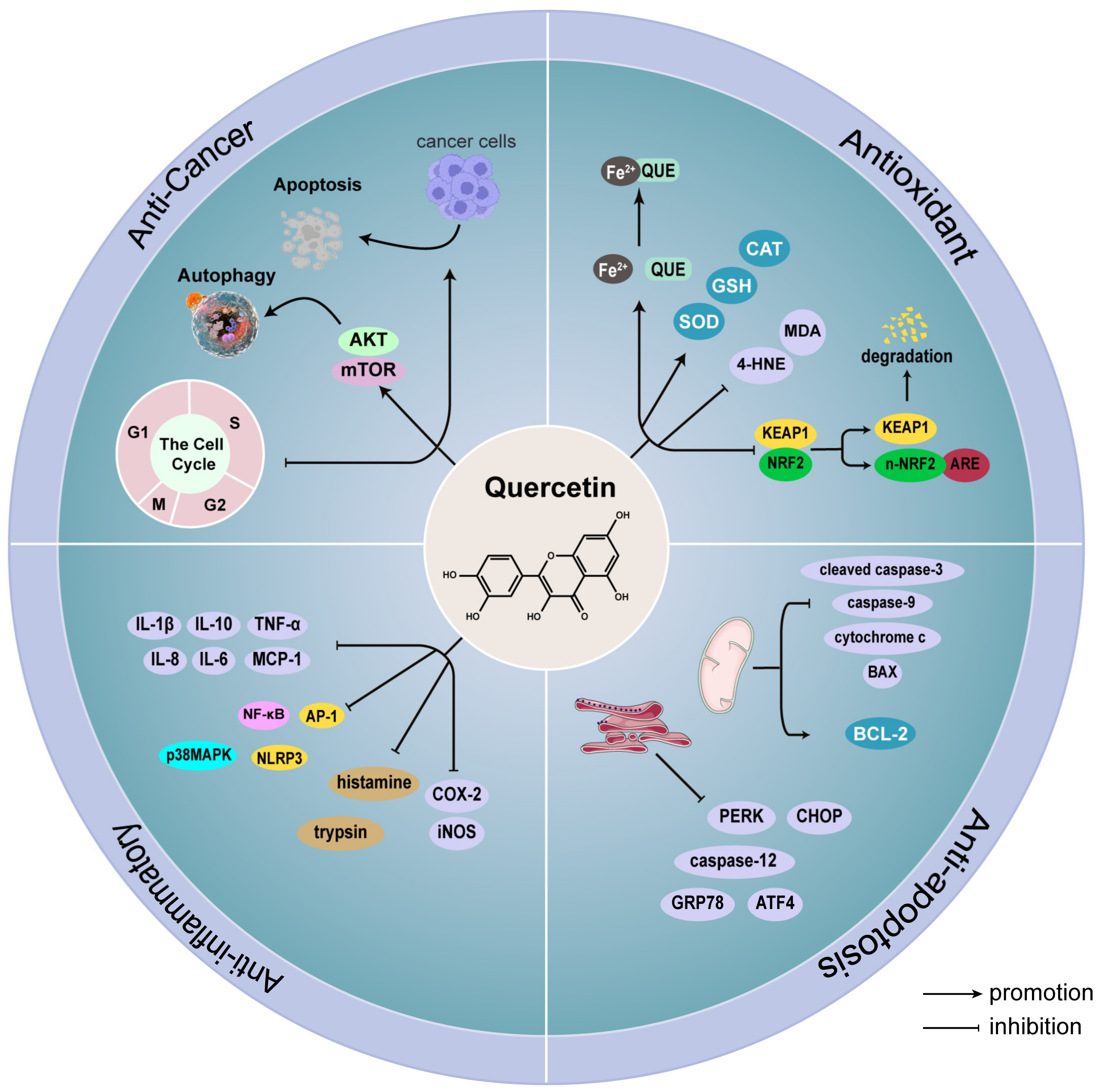 Nutrients 15 02231 g001 Nutrients 15 02231 g001