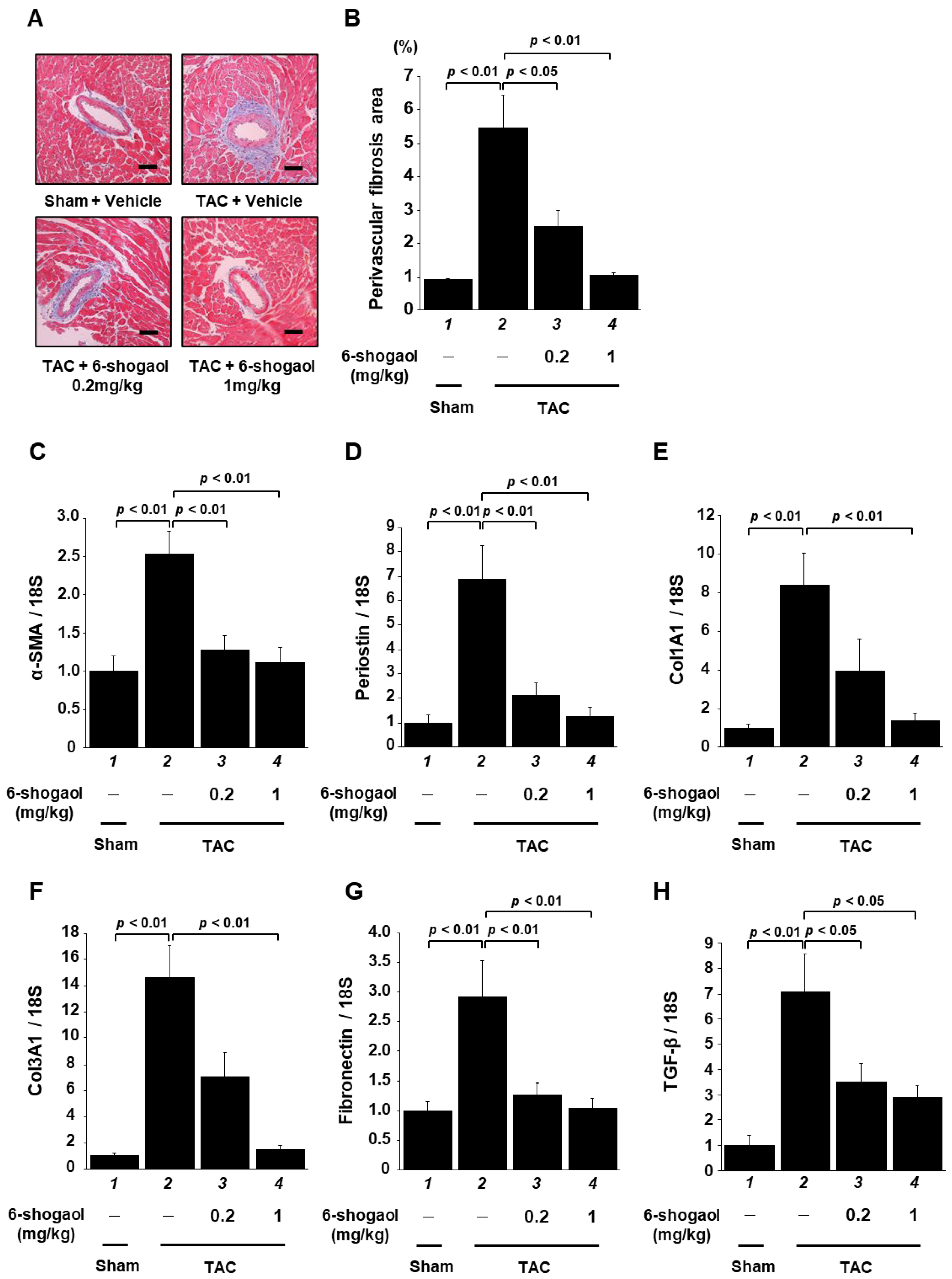 Nutrients 15 02232 g007 Nutrients 15 02232 g007