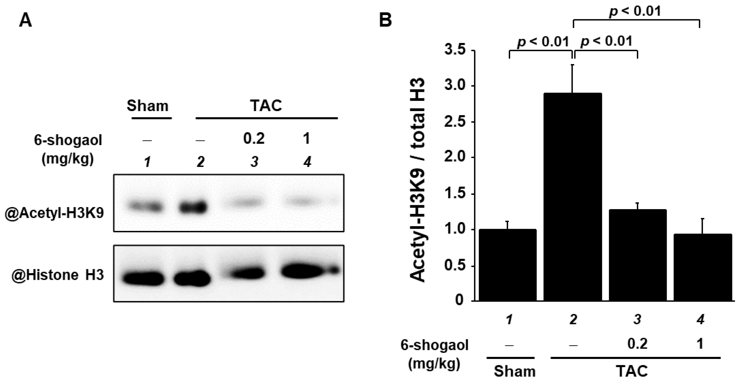 Nutrients 15 02232 g008 Nutrients 15 02232 g008