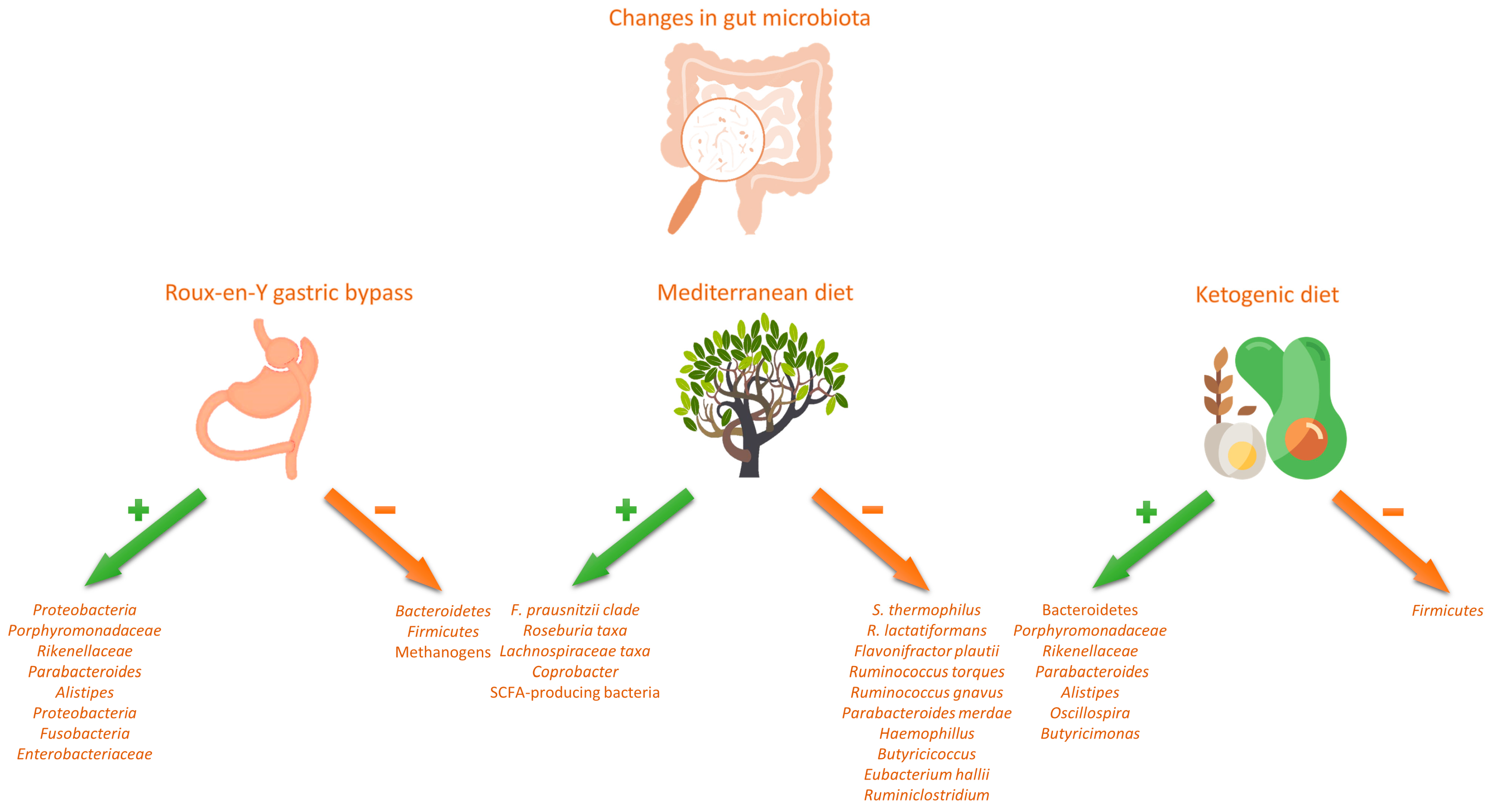 Nutrients 15 02236 g001 Nutrients 15 02236 g001