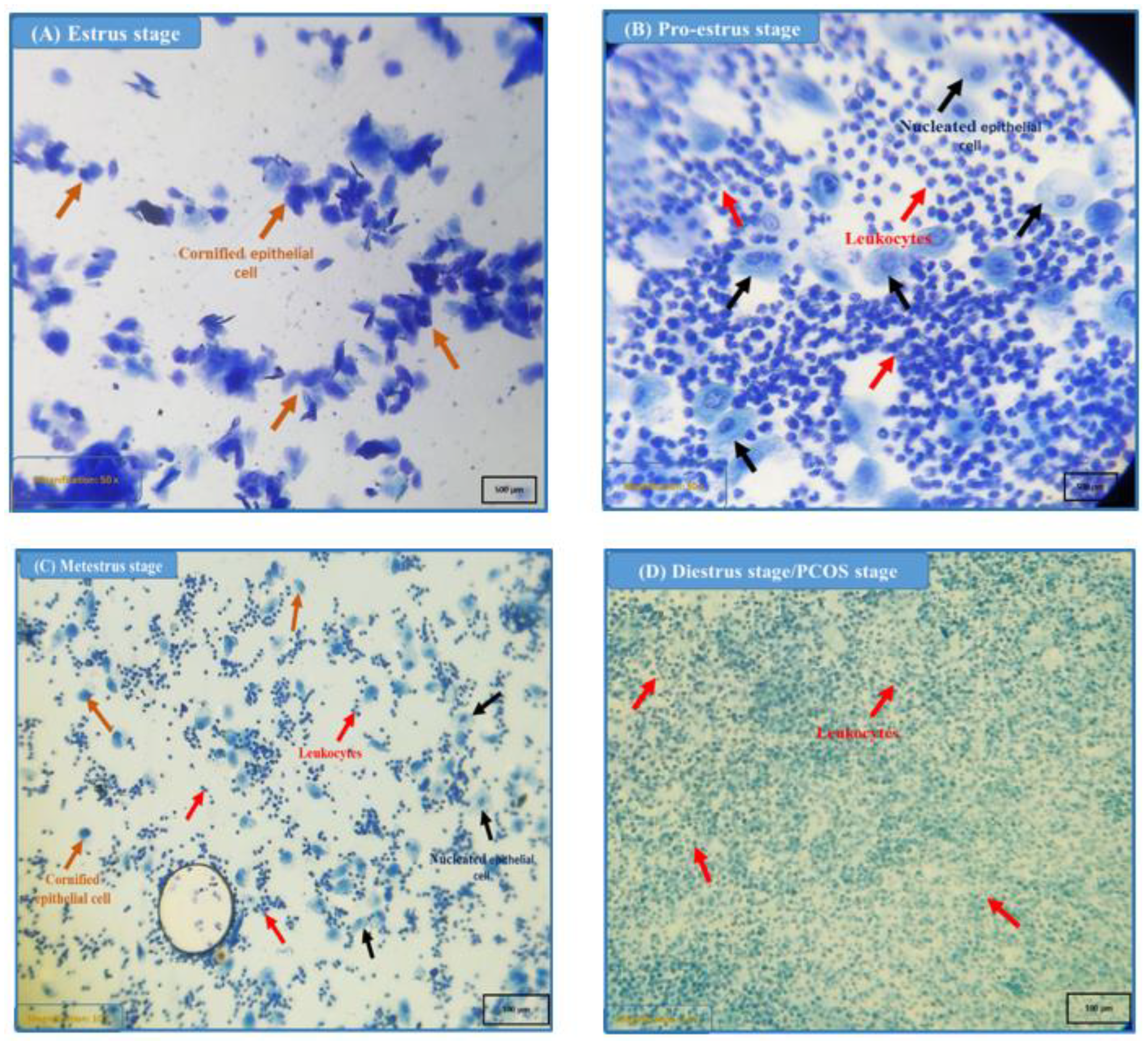 Nutrients 15 02238 g001 Nutrients 15 02238 g001