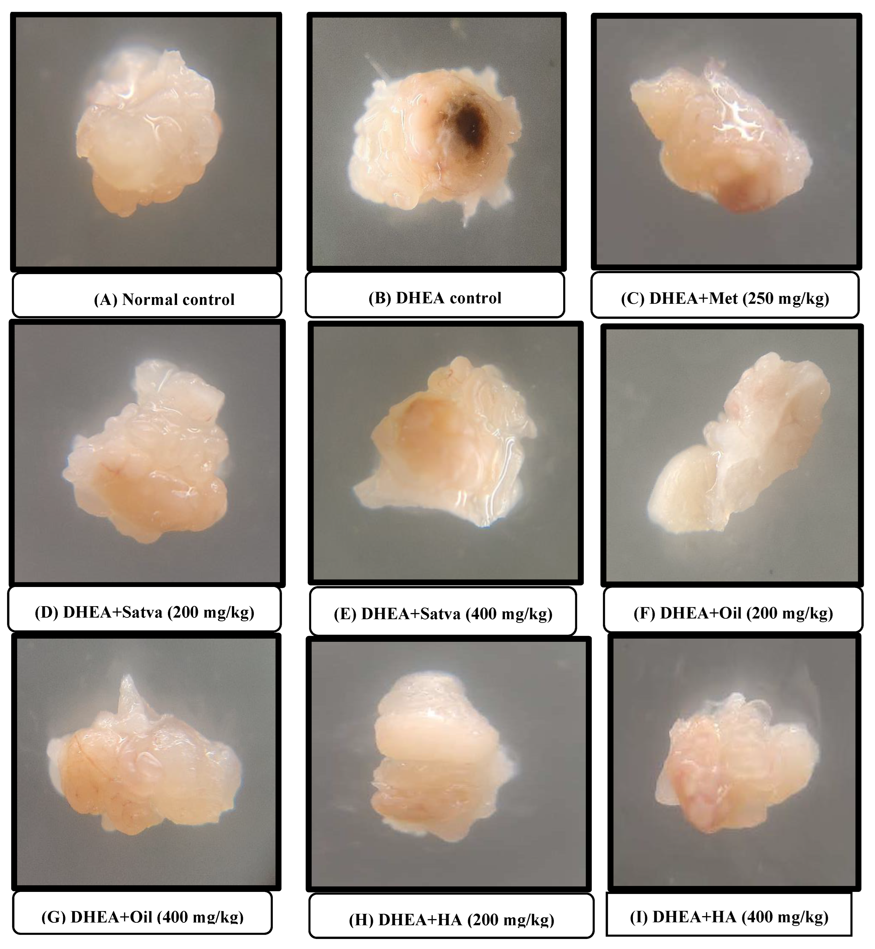 Nutrients 15 02238 g007 Nutrients 15 02238 g007