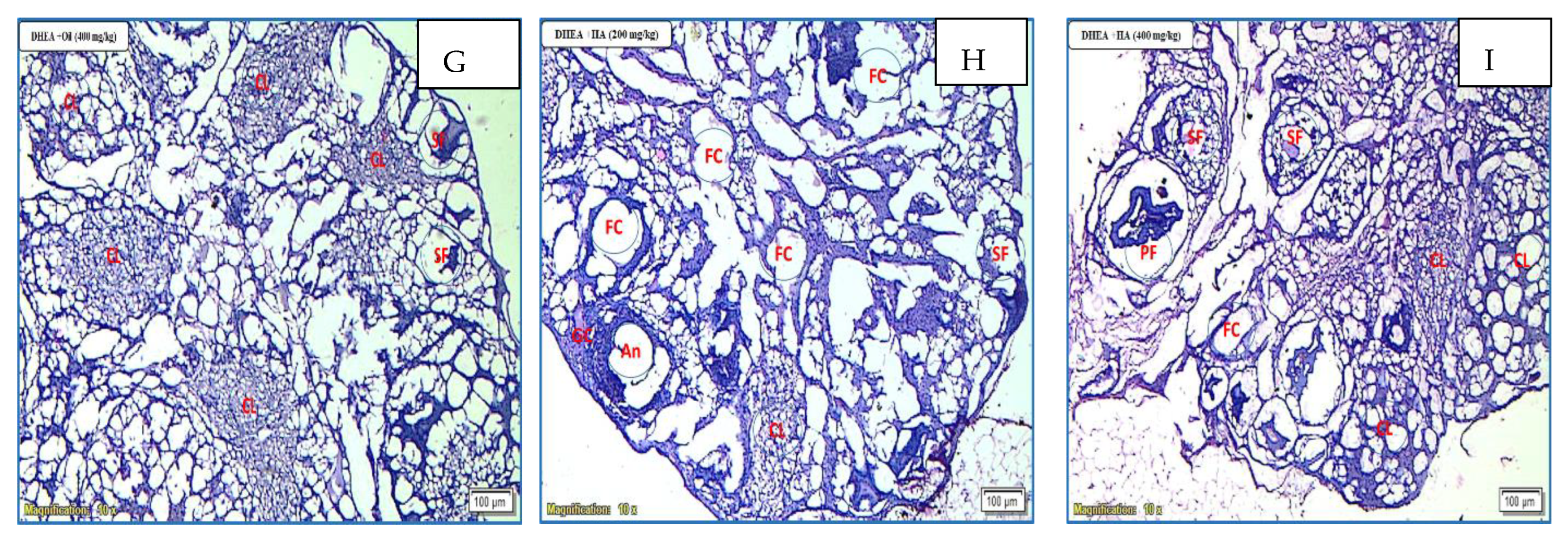 Nutrients 15 02238 g008b Nutrients 15 02238 g008b