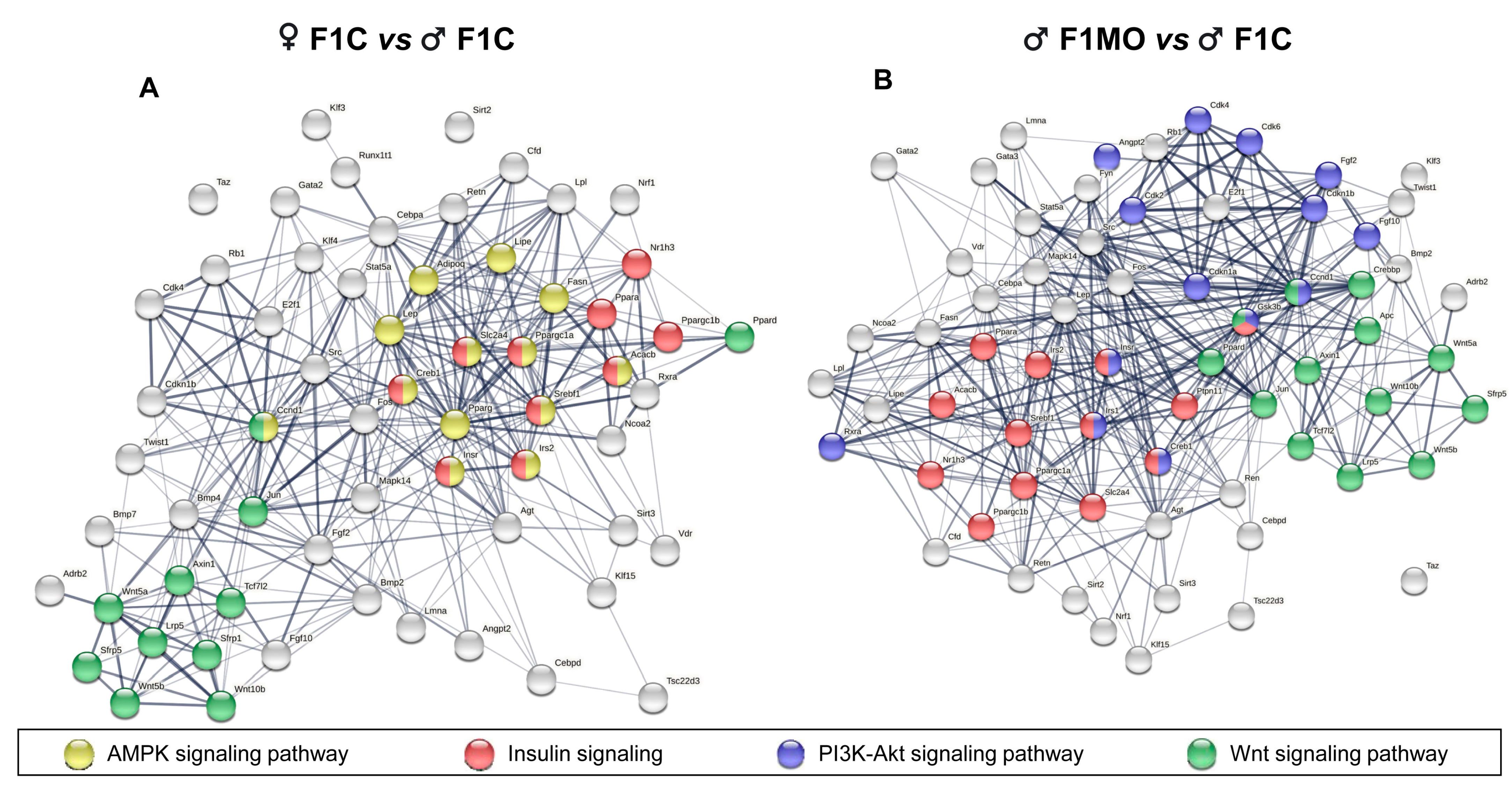 Nutrients 15 02245 g006