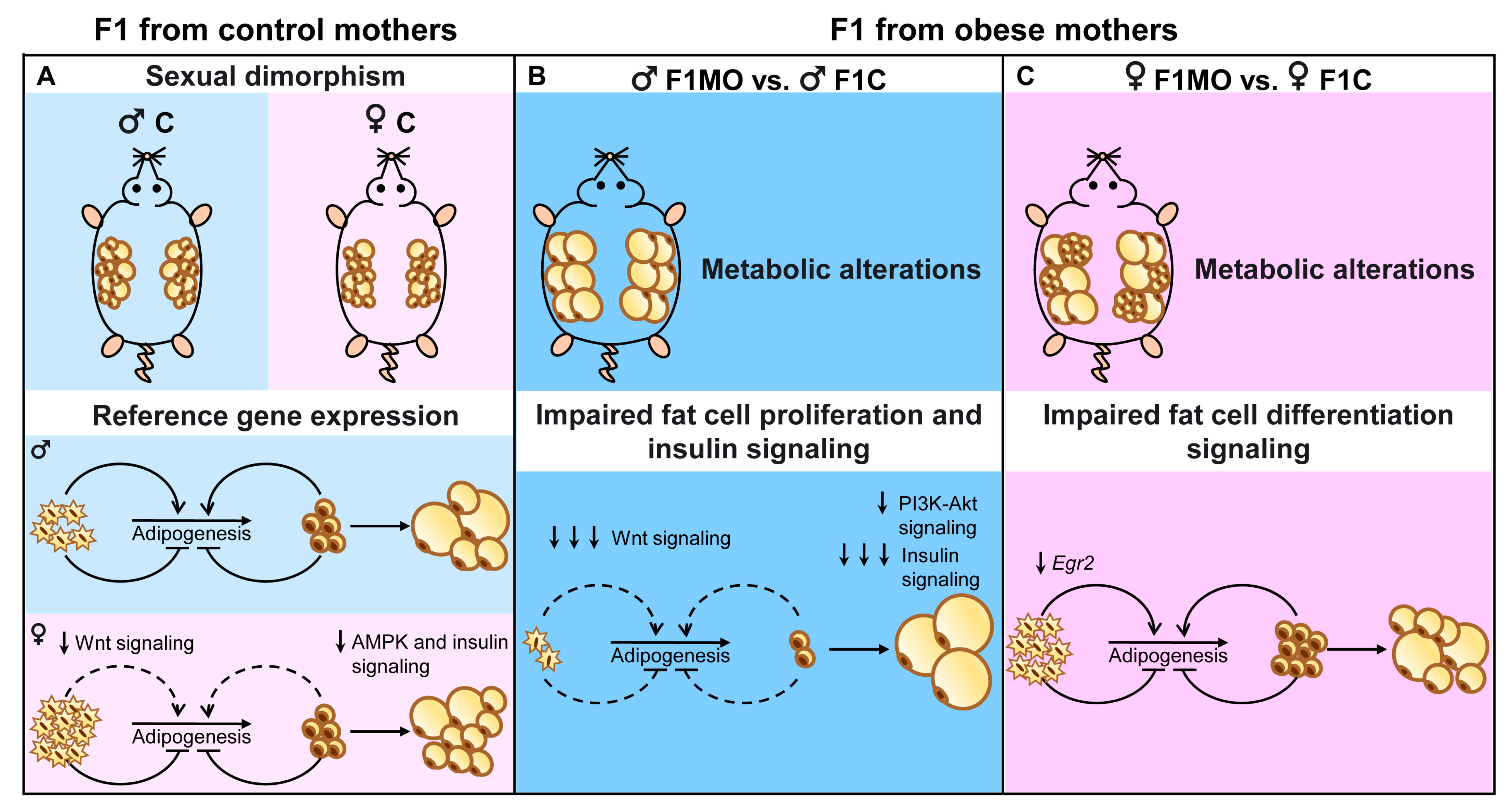 Nutrients 15 02245 g007