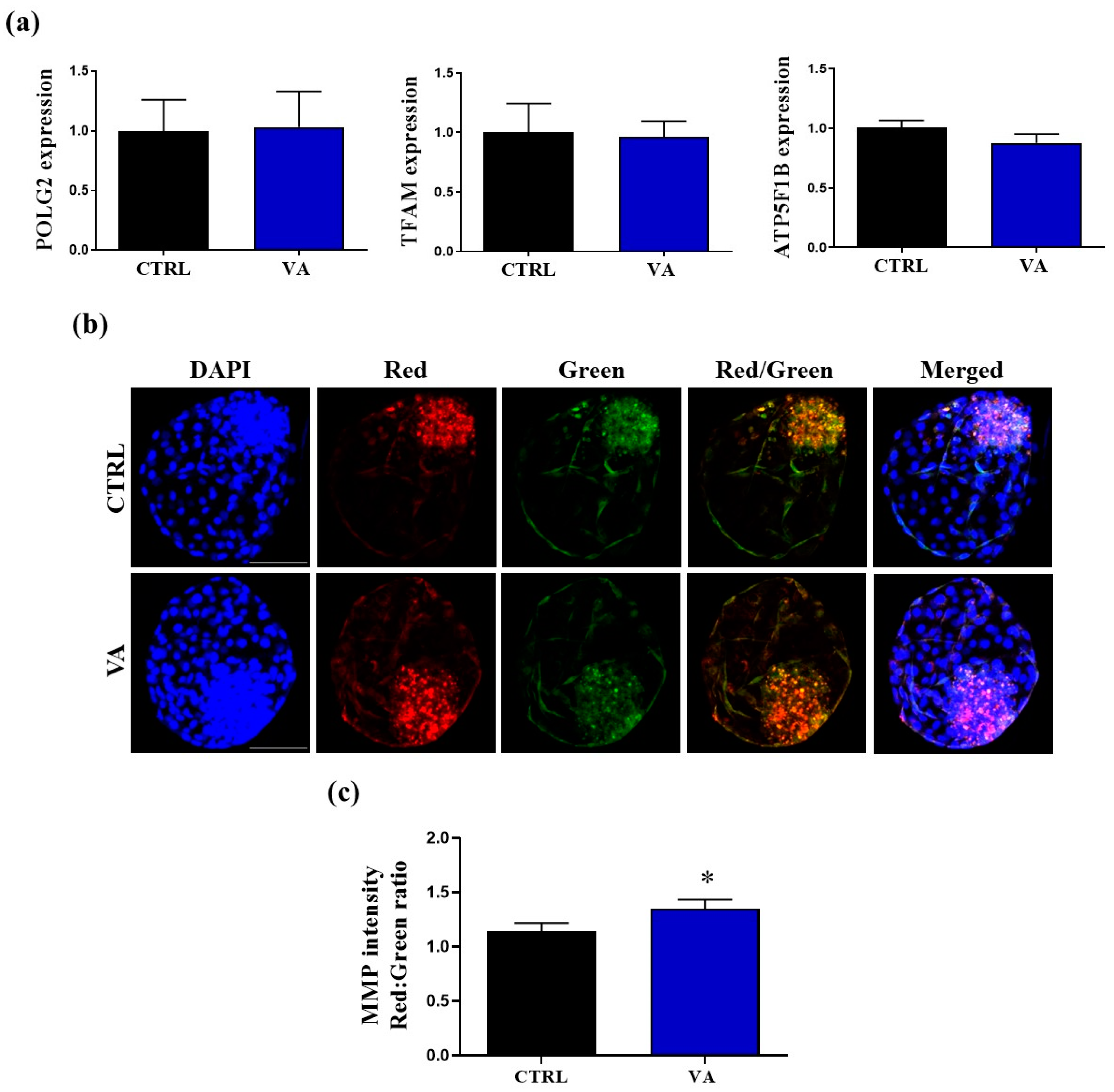 Nutrients 15 02257 g005 Nutrients 15 02257 g005