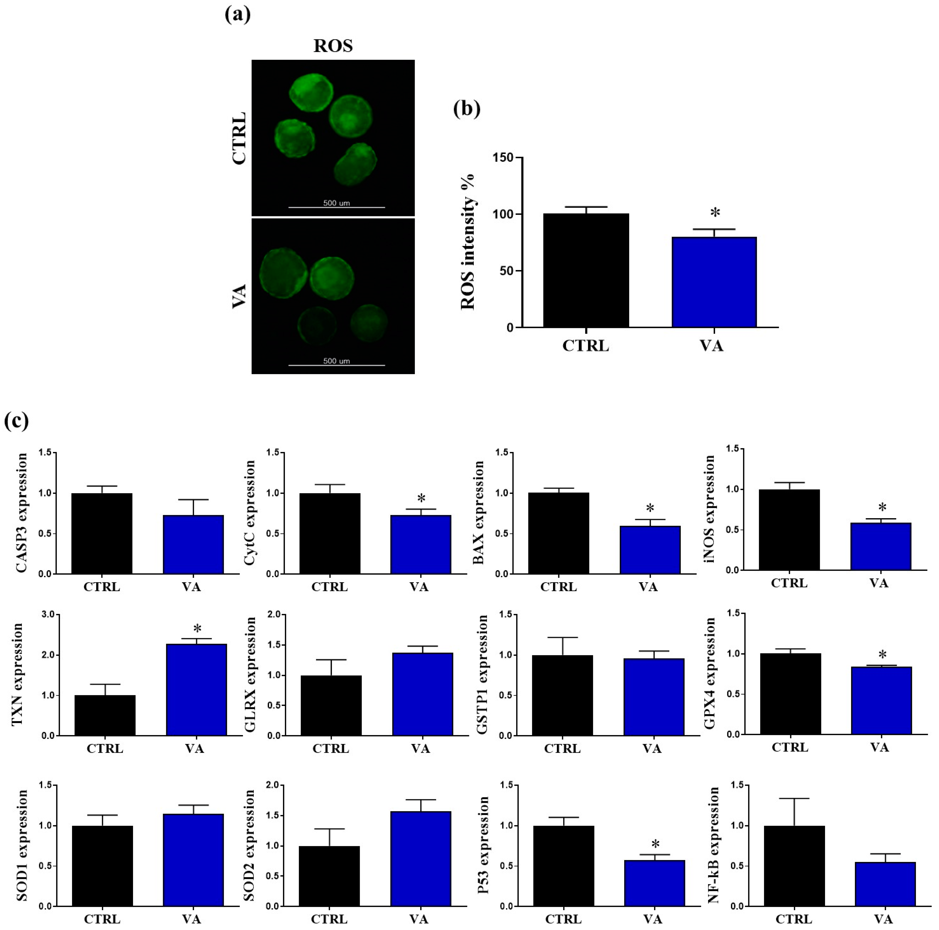 Nutrients 15 02257 g006 Nutrients 15 02257 g006