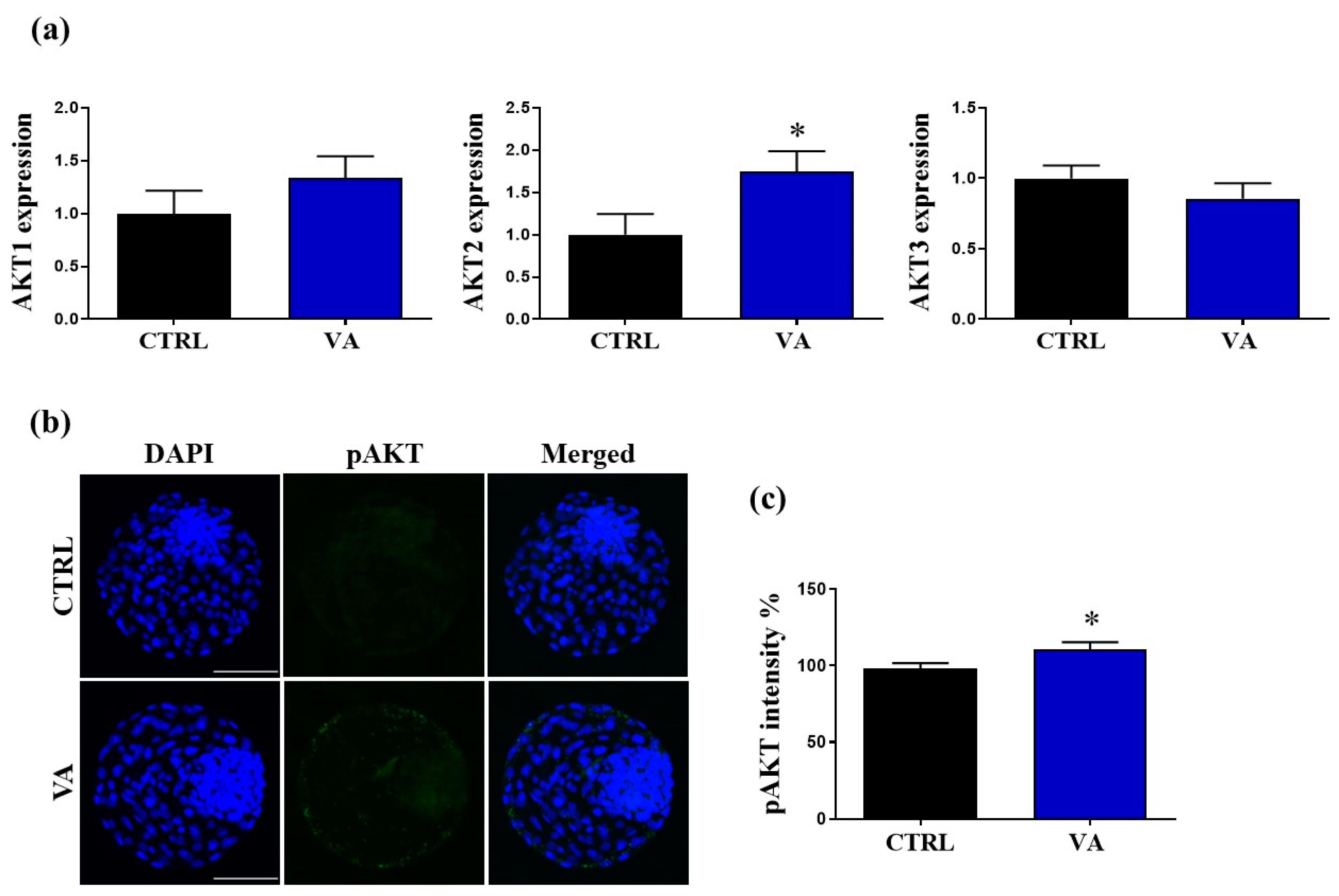 Nutrients 15 02257 g007 Nutrients 15 02257 g007
