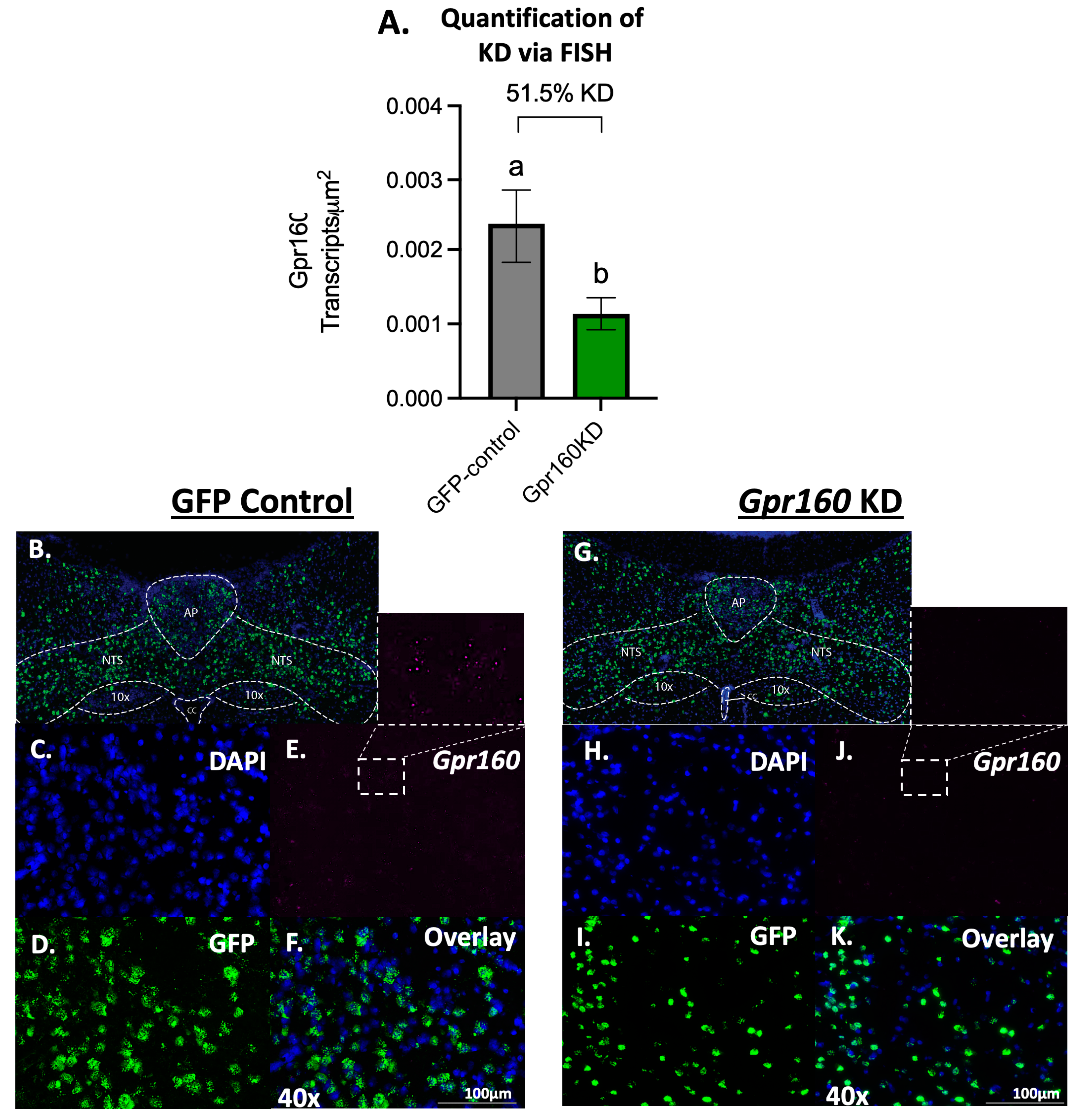 Nutrients 15 02268 g001