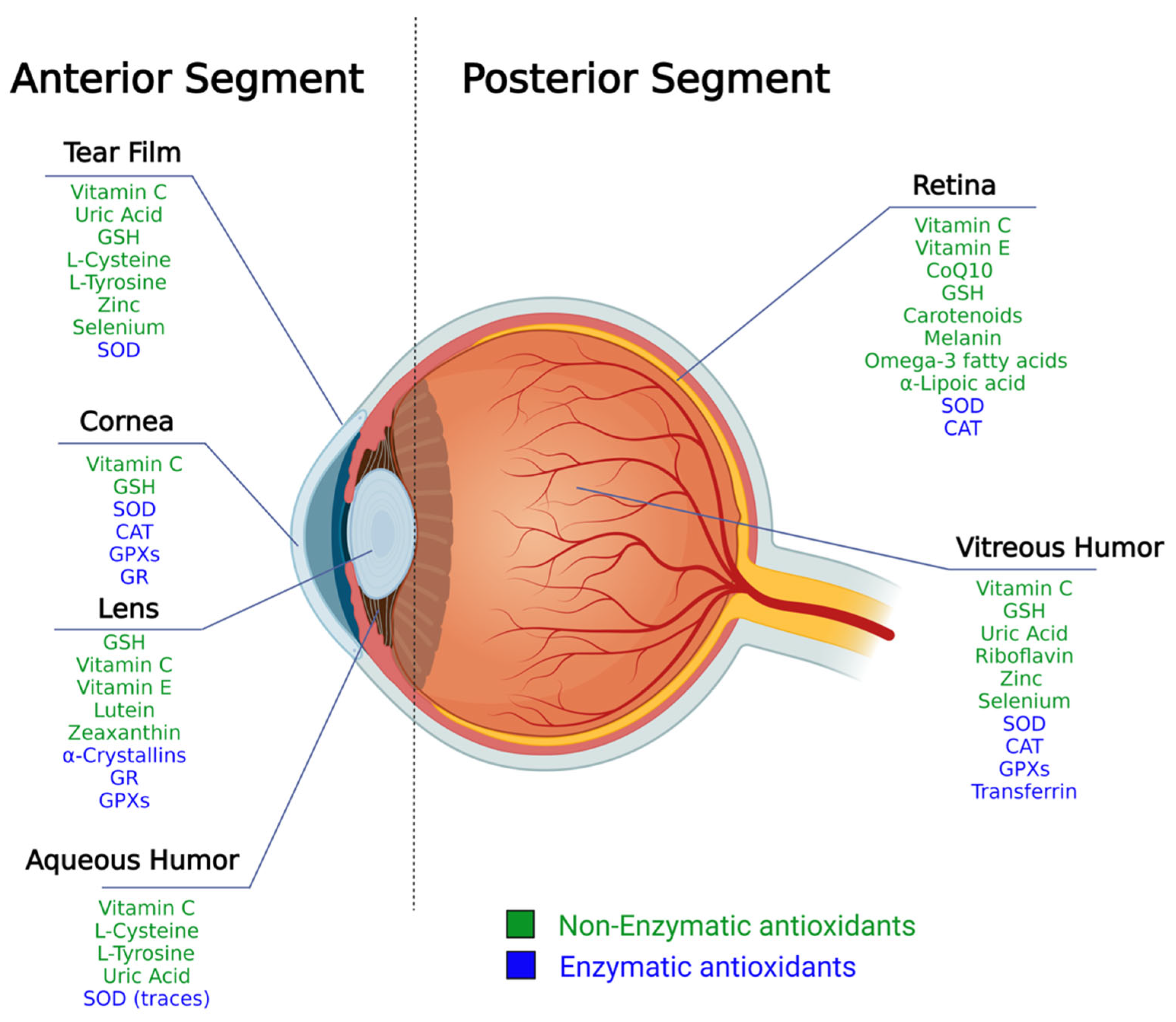 Nutrients 15 02283 g001 Nutrients 15 02283 g001