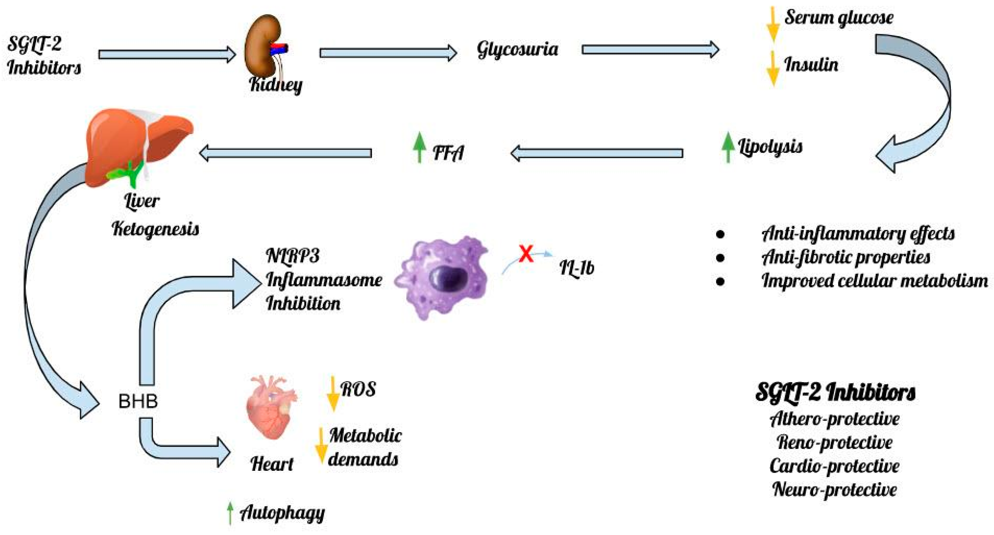 Nutrients 15 02294 g002