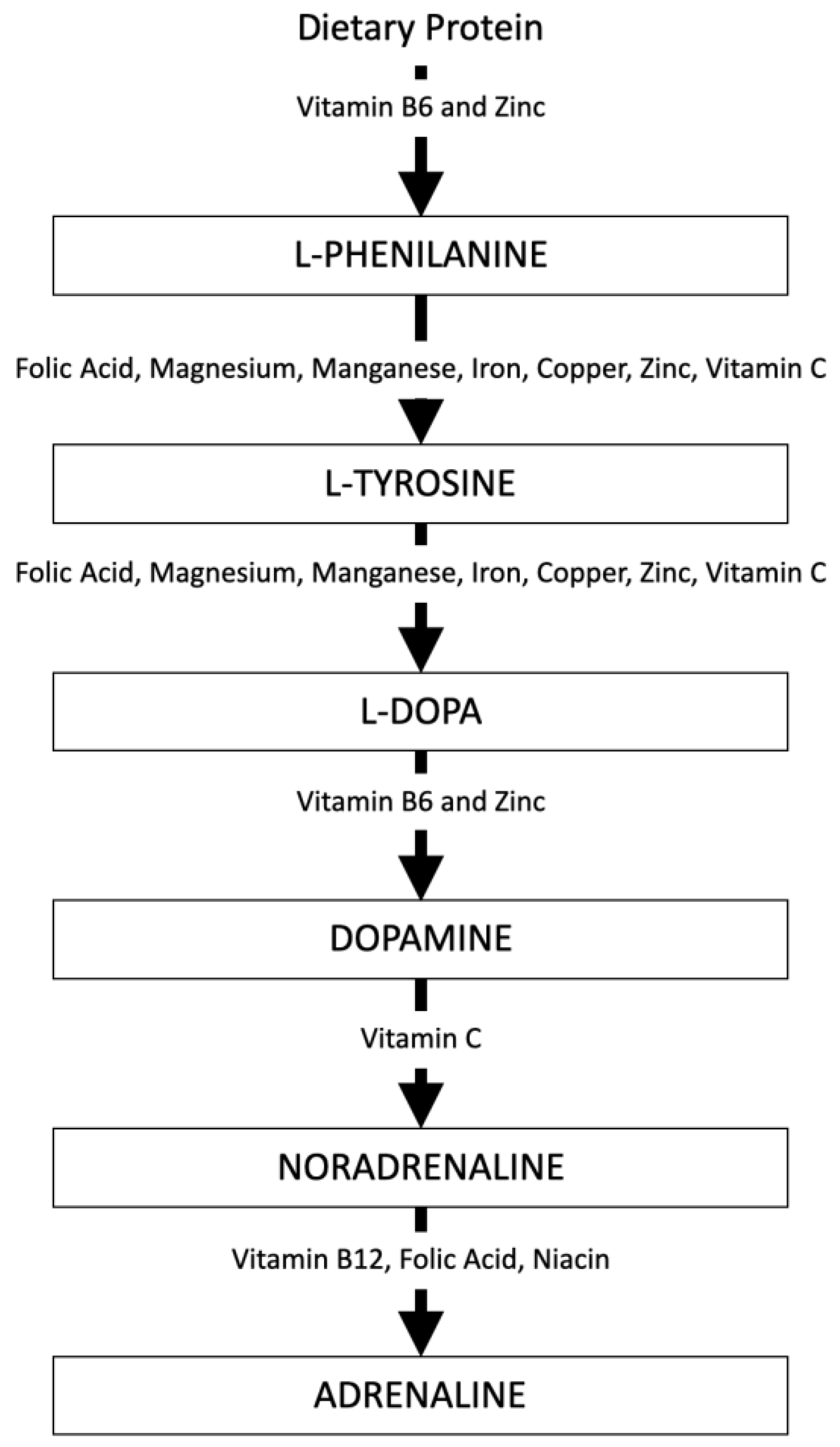 Nutrients 15 02306 g002