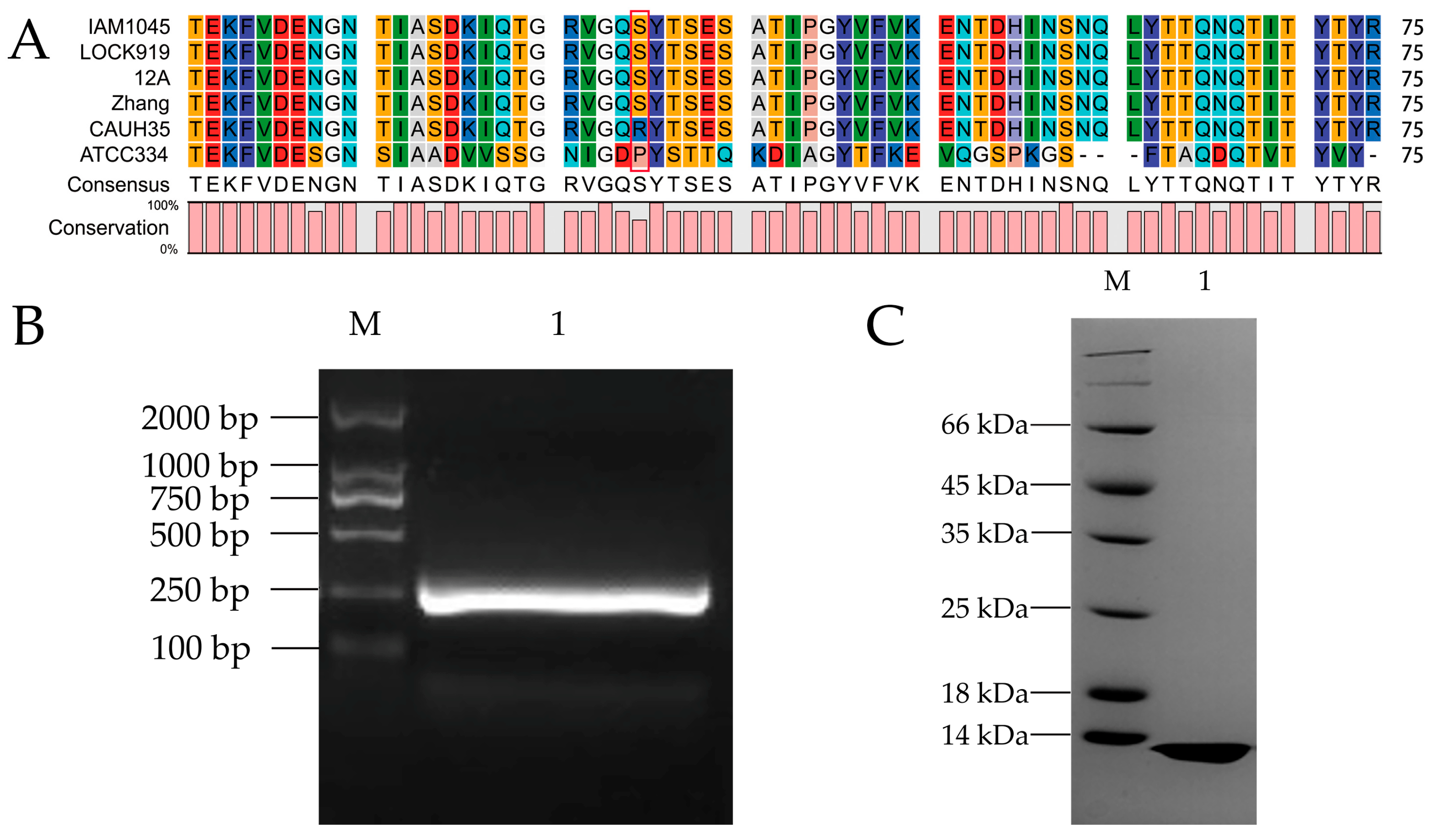 Nutrients 15 02314 g001 Nutrients 15 02314 g001