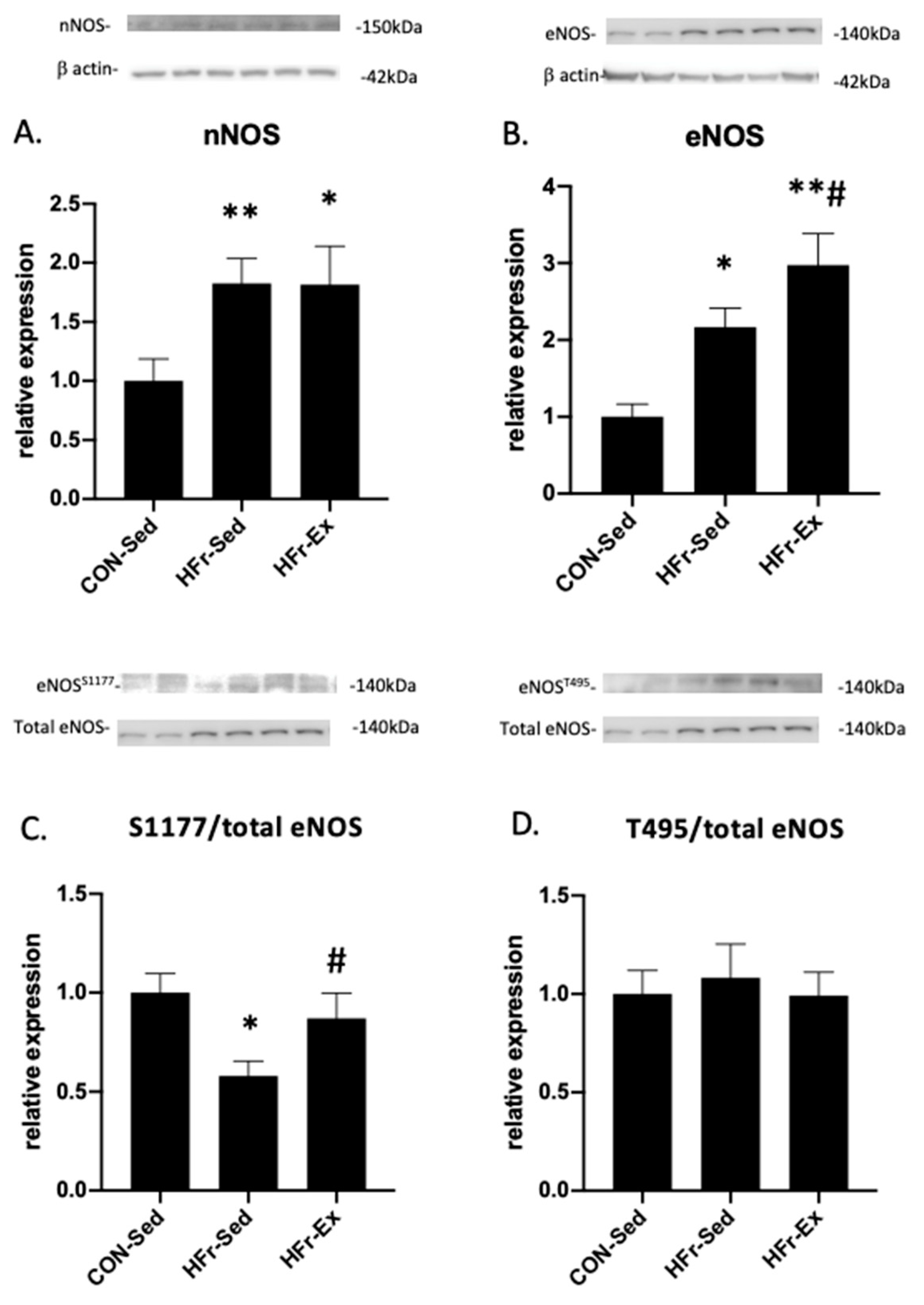 Nutrients 15 02322 g003 Nutrients 15 02322 g003