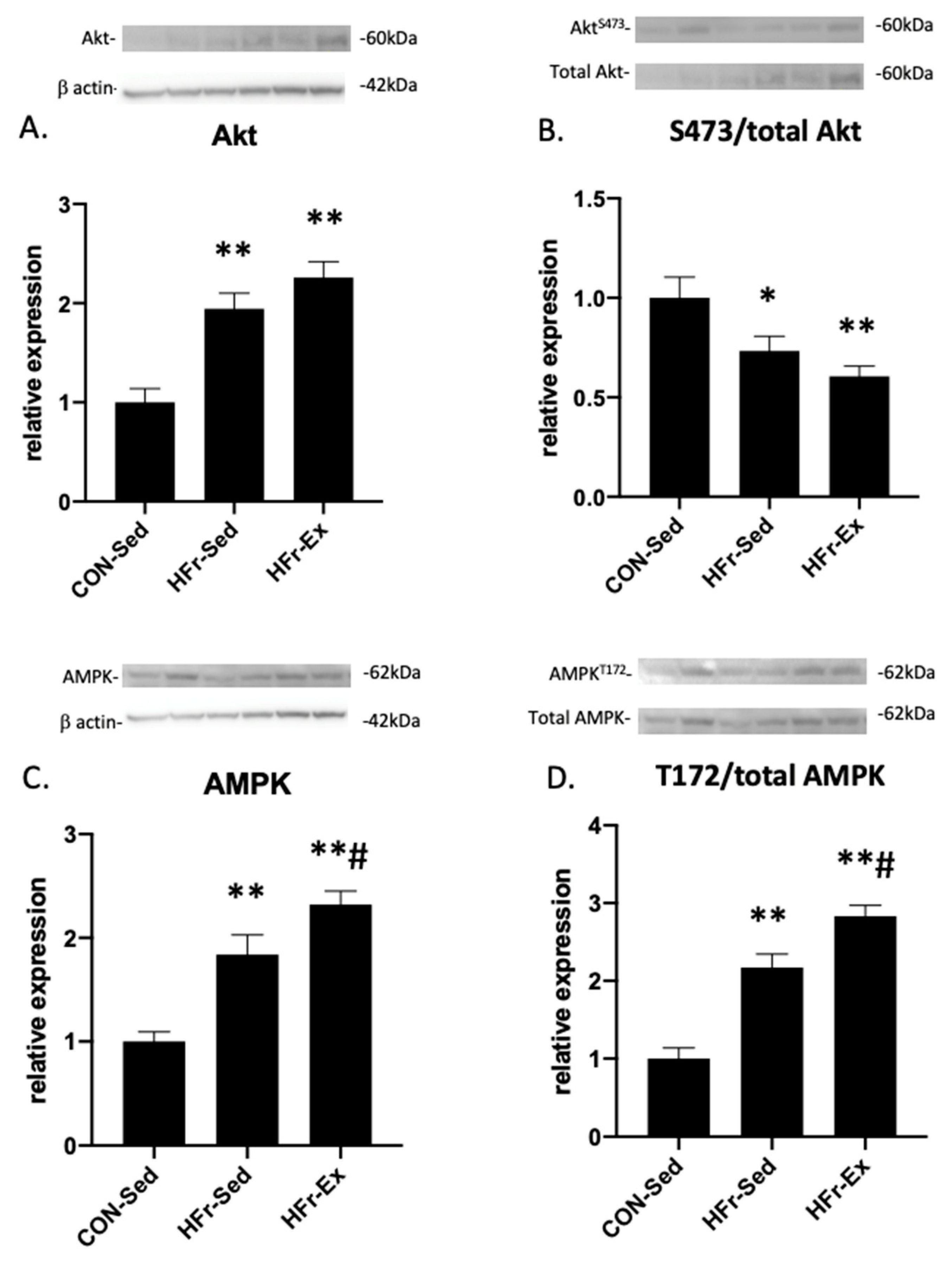 Nutrients 15 02322 g004 Nutrients 15 02322 g004