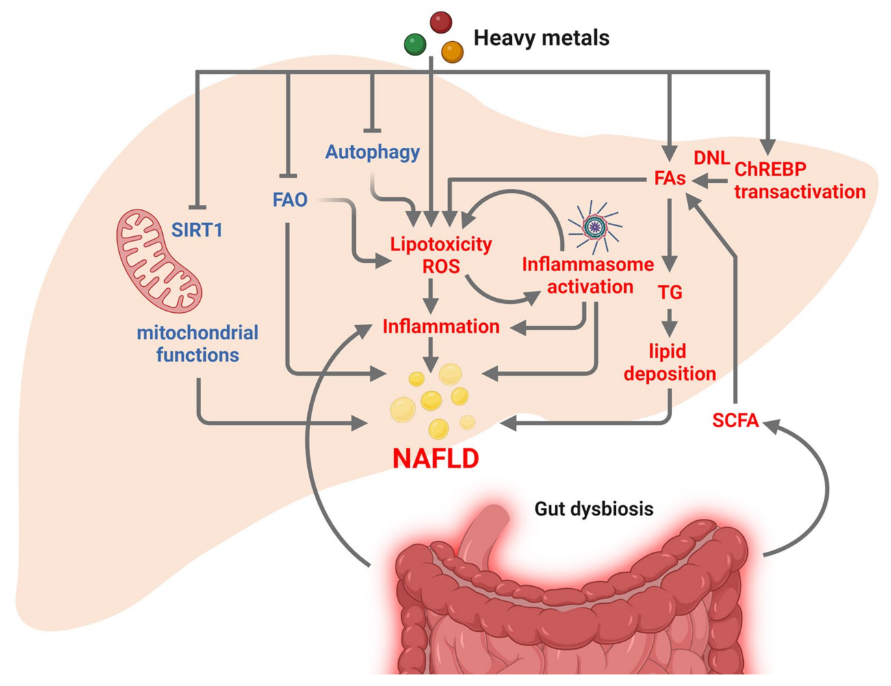 Nutrients 15 02335 g003 Nutrients 15 02335 g003