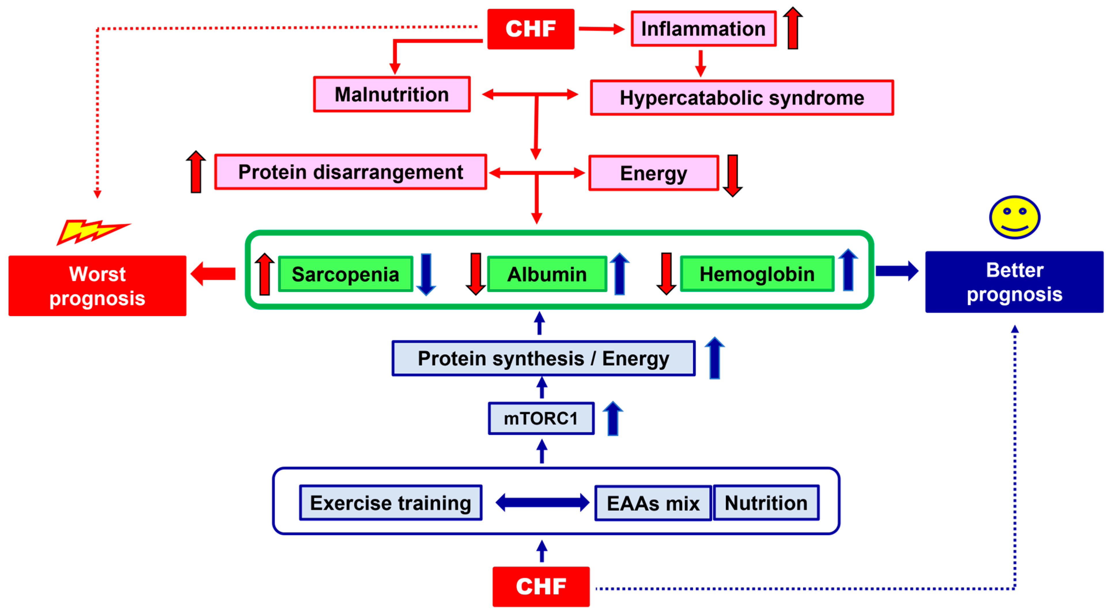 Nutrients 15 02337 g001 Nutrients 15 02337 g001