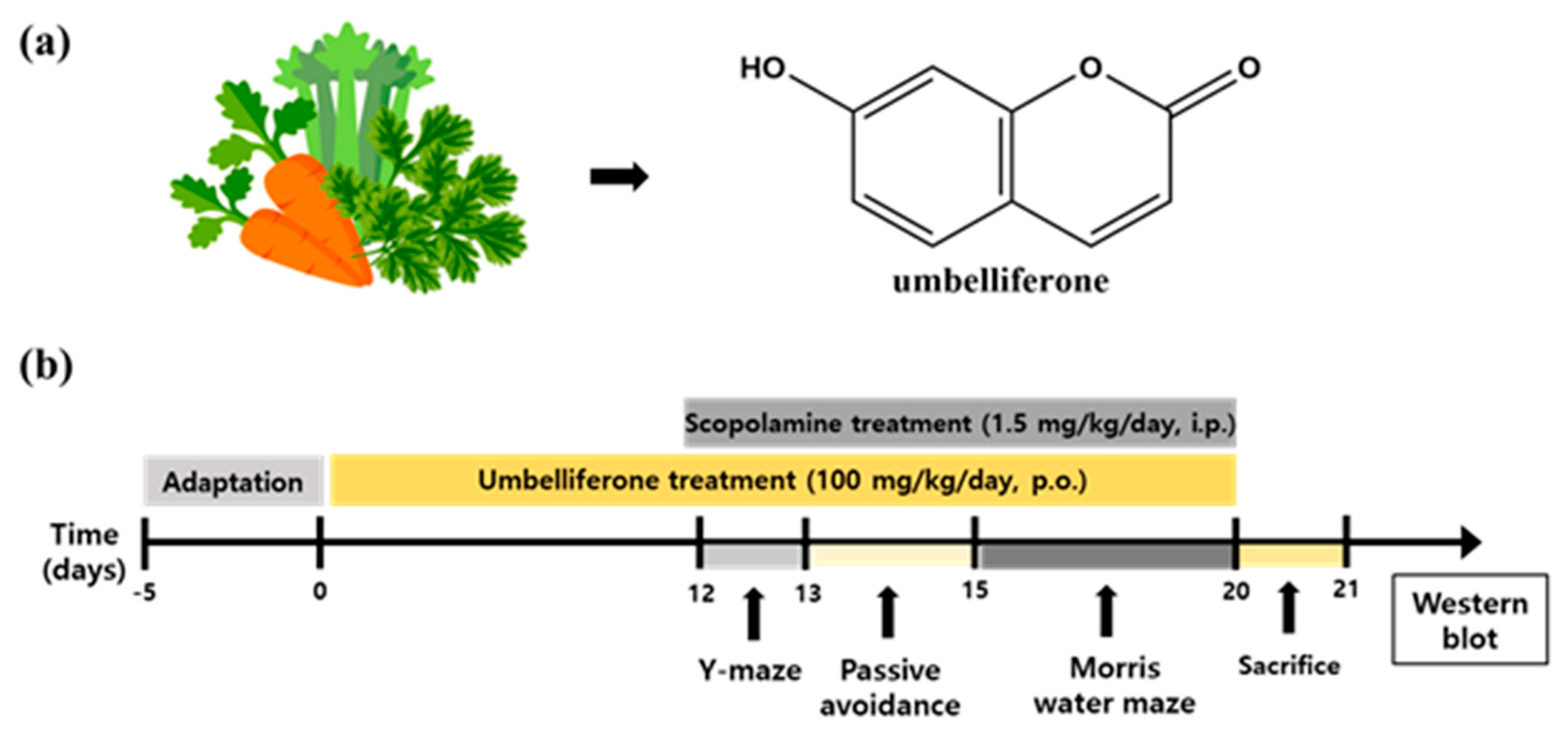 Nutrients 15 02351 g001