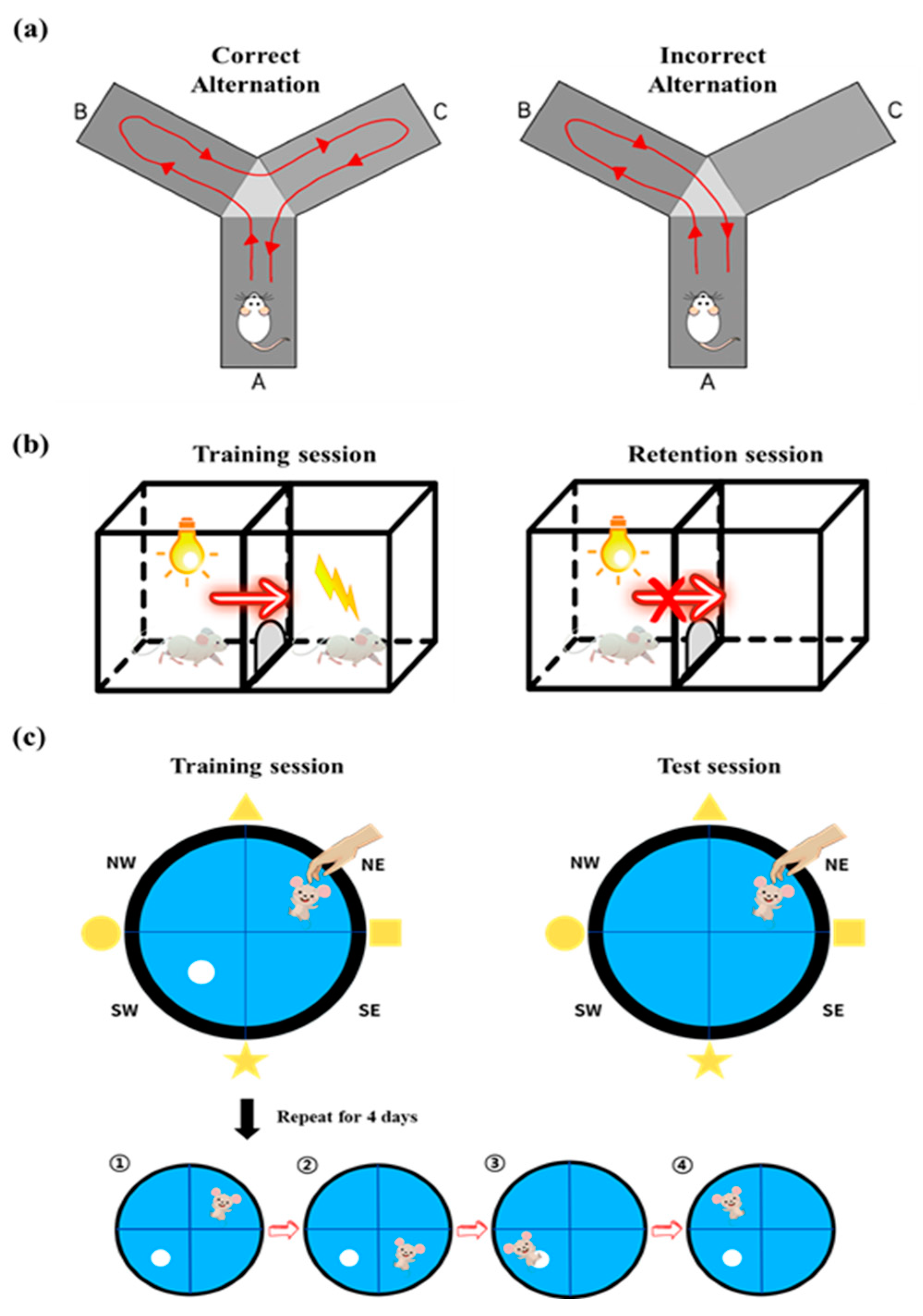 Nutrients 15 02351 g002