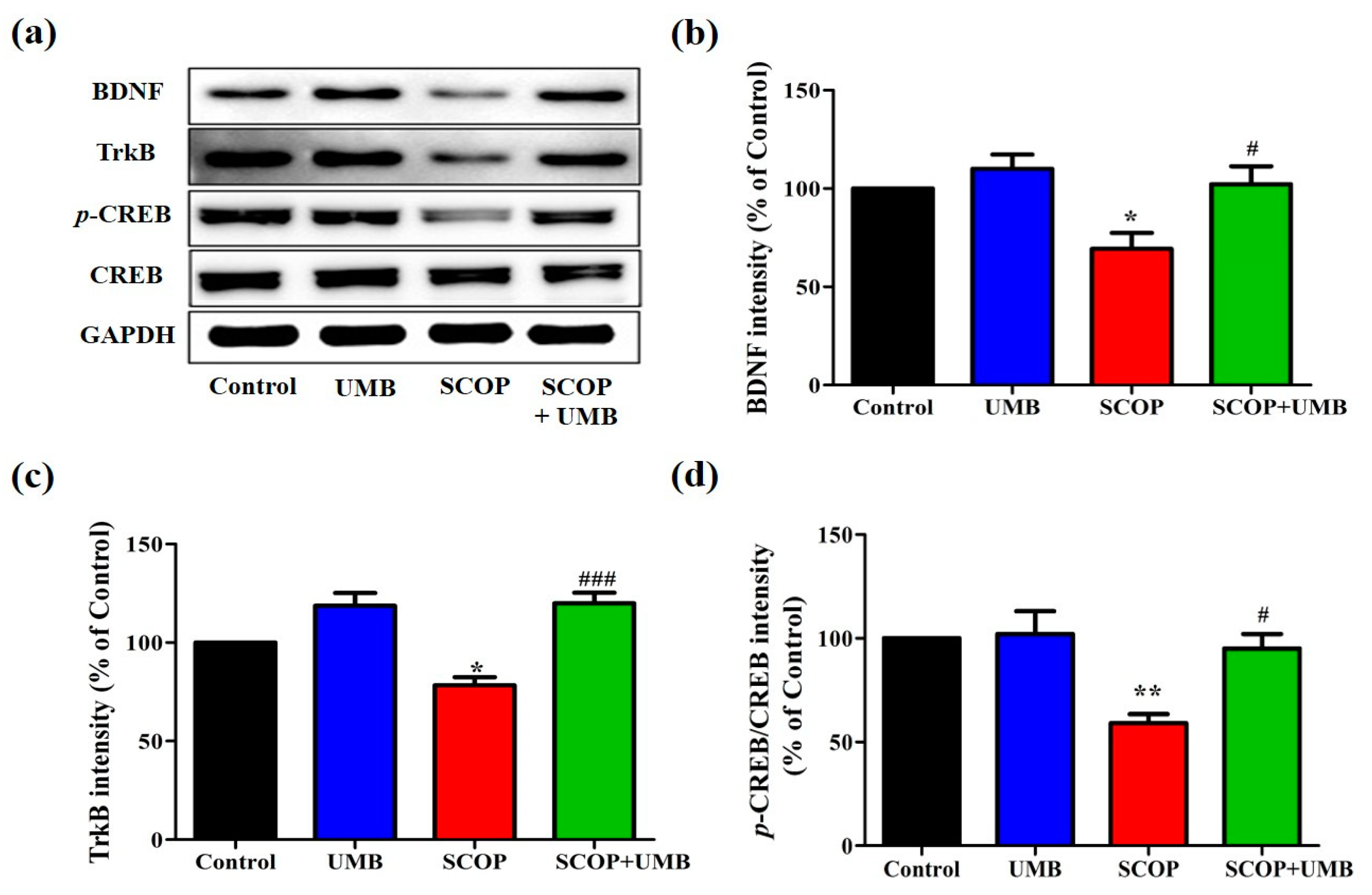 Nutrients 15 02351 g007