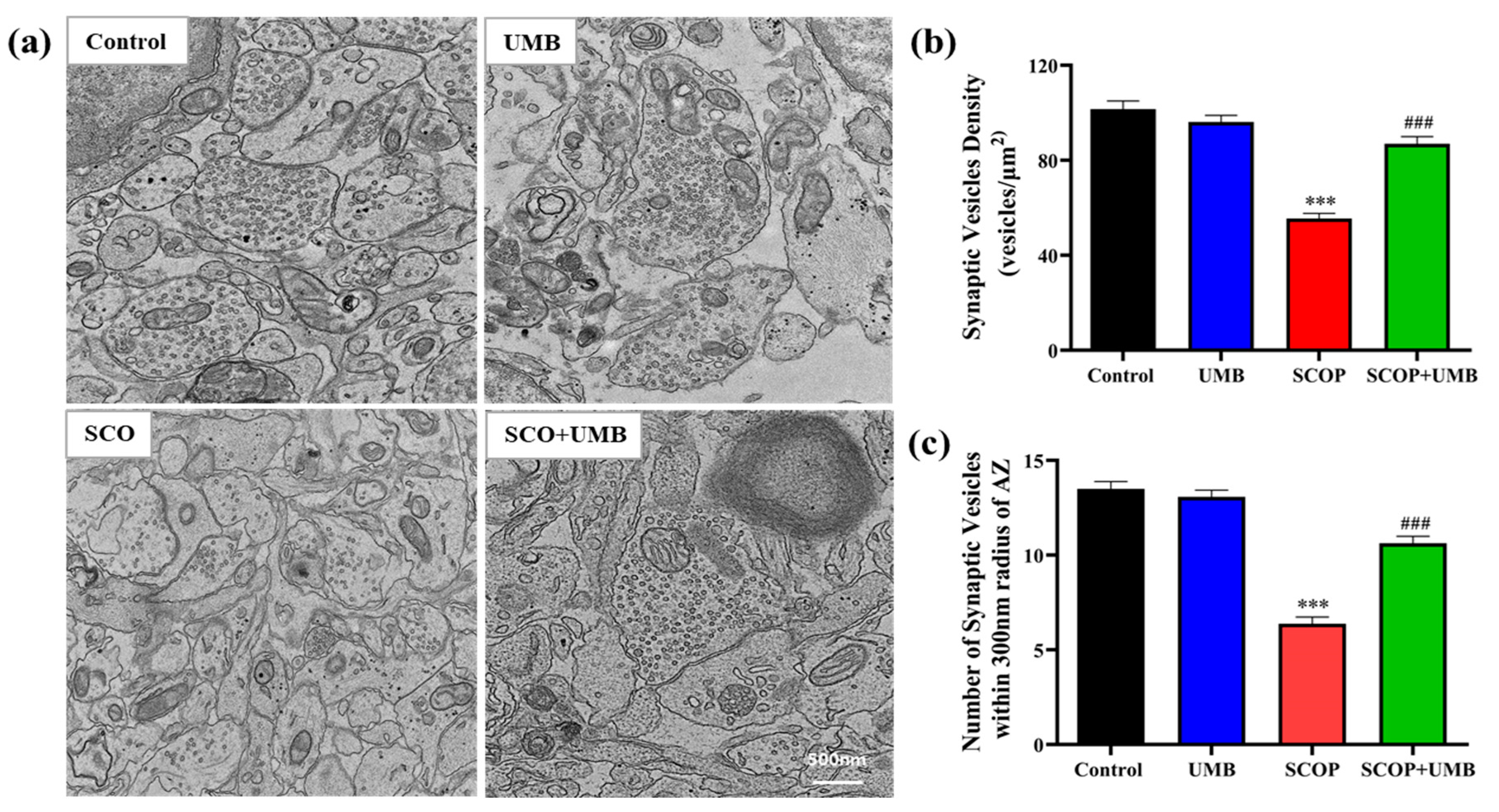 Nutrients 15 02351 g011