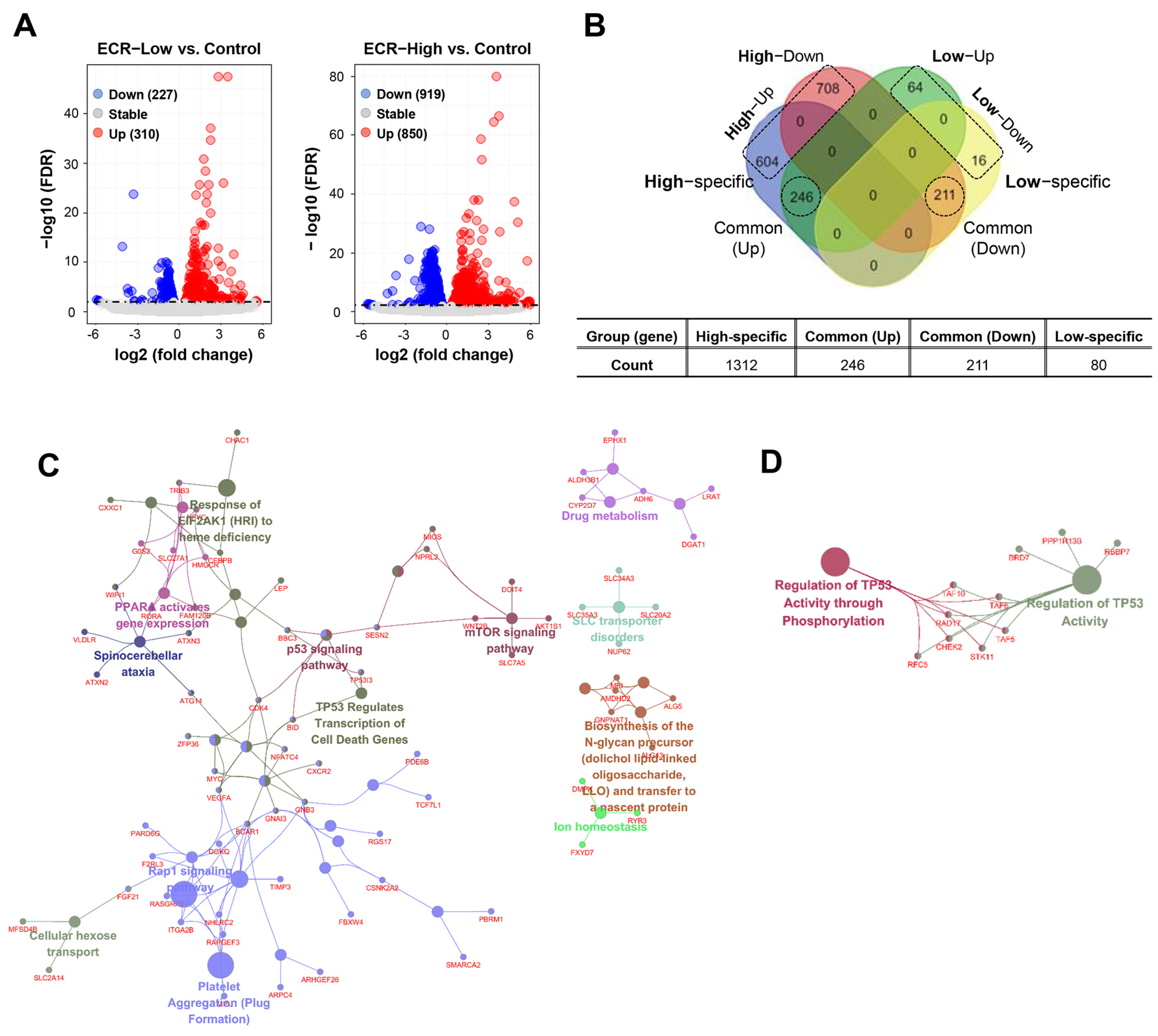 Nutrients 15 02364 g001 Nutrients 15 02364 g001