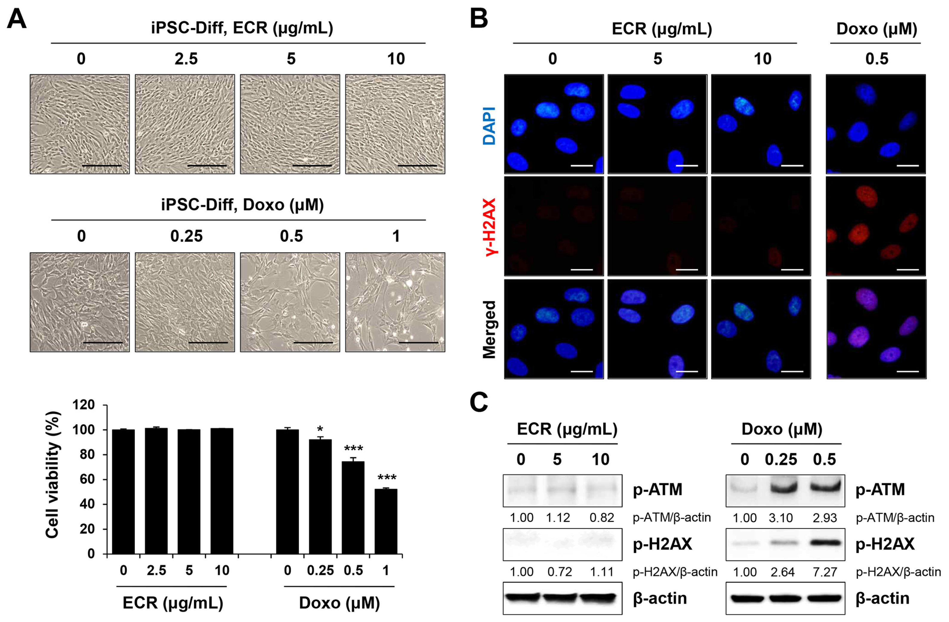 Nutrients 15 02364 g004 Nutrients 15 02364 g004