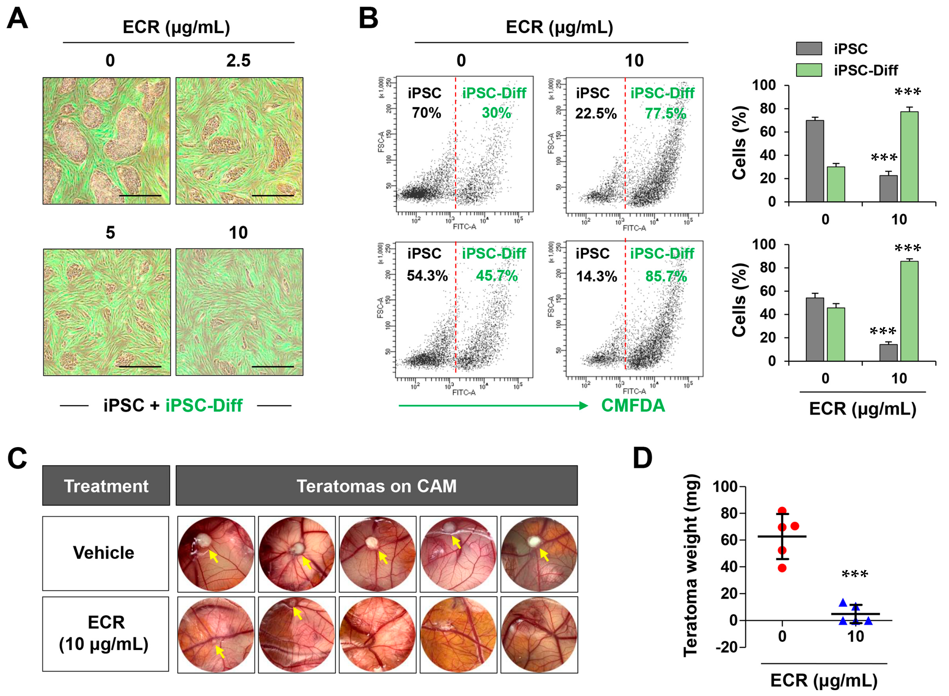 Nutrients 15 02364 g005 Nutrients 15 02364 g005