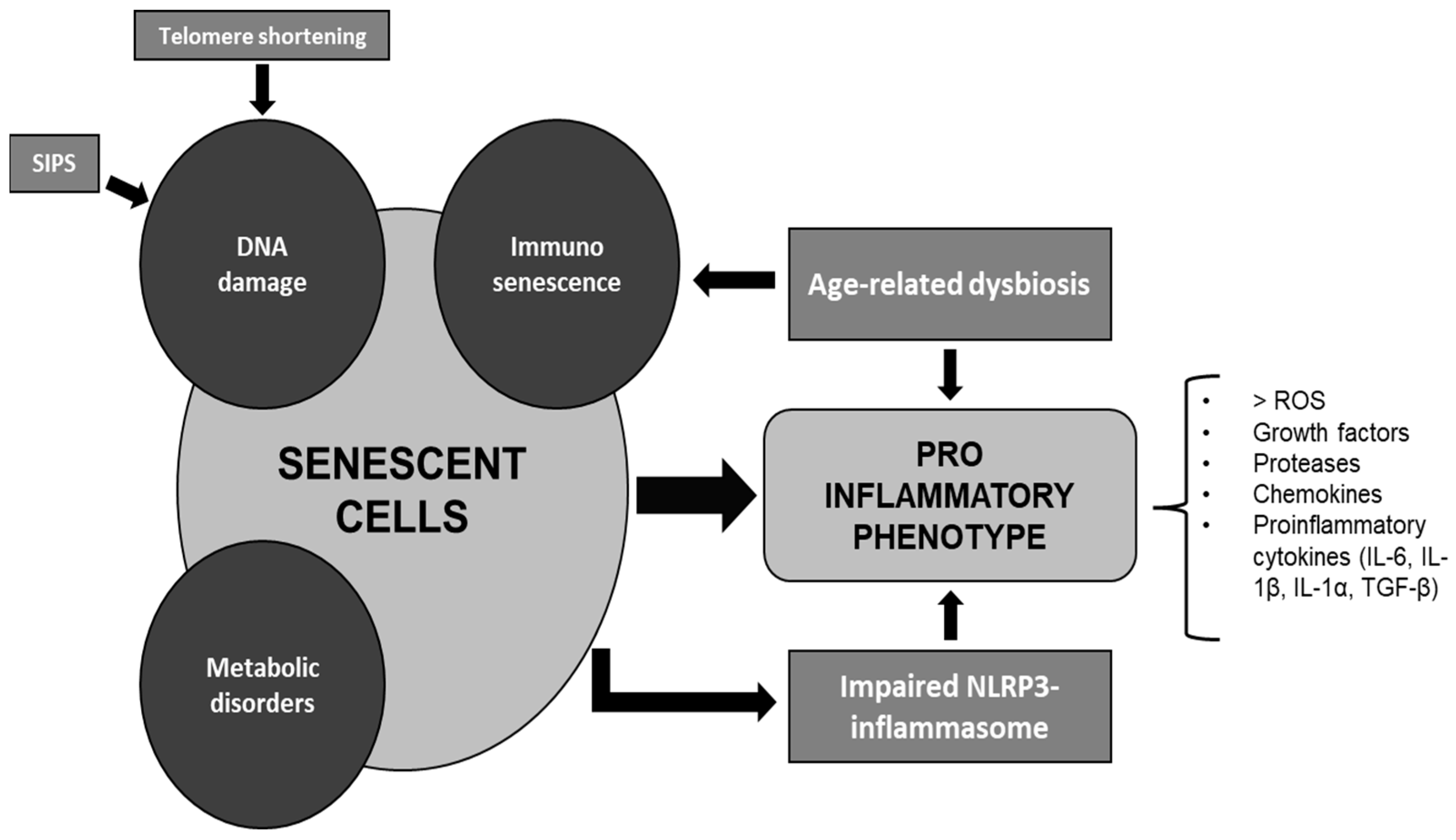 Nutrients 15 02365 g001 Nutrients 15 02365 g001